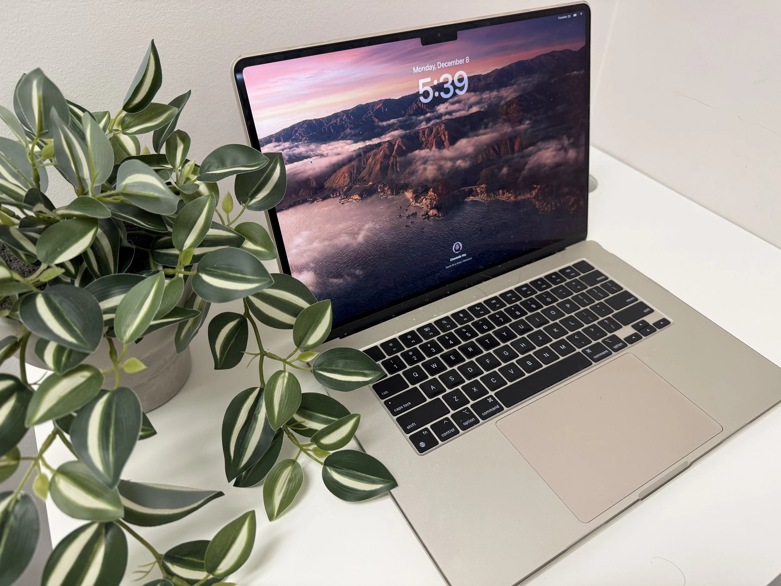 How to Set Healthy Boundaries When Working From Home and Why Psychotherapy Helps