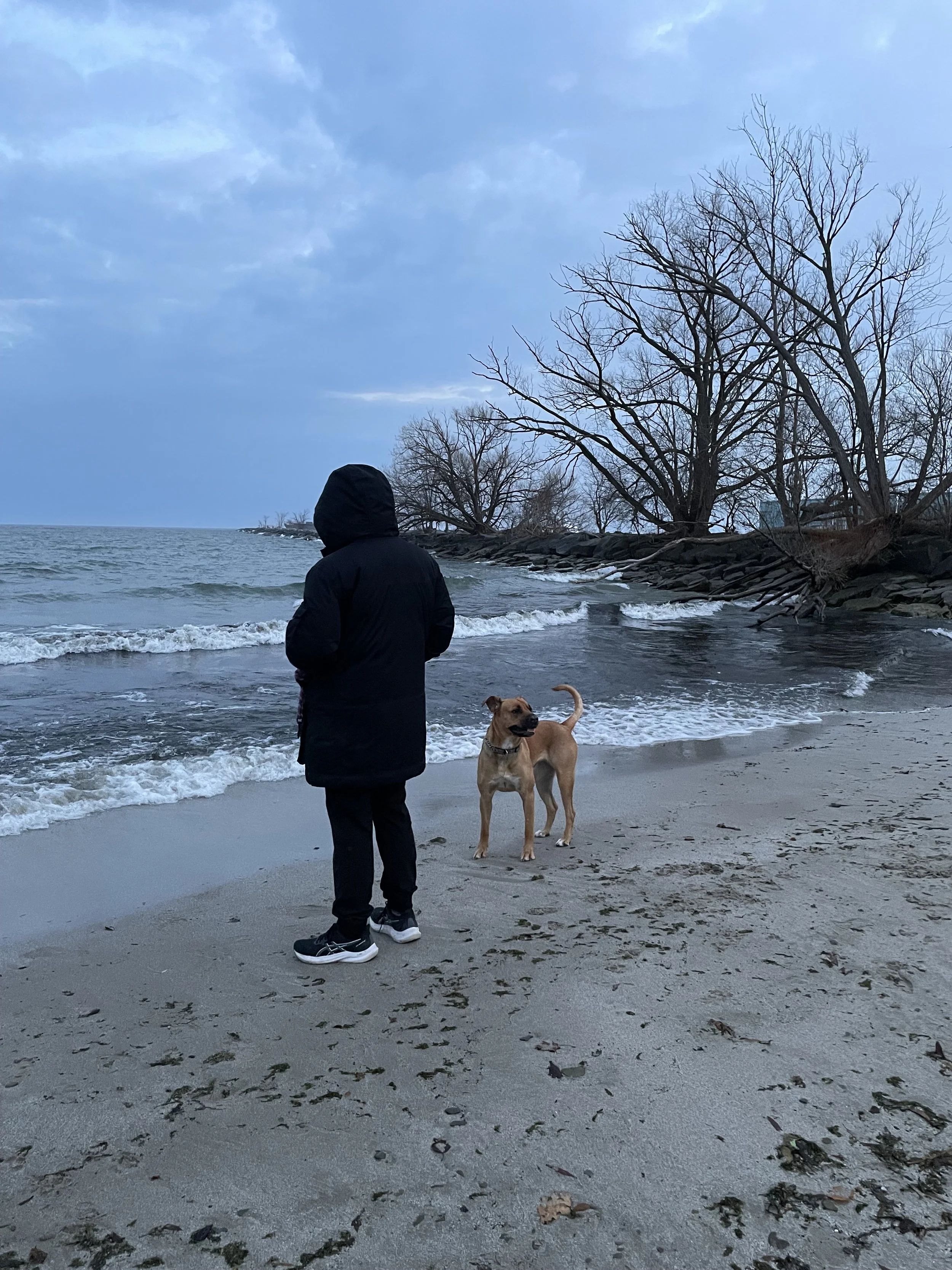 Seasonal Depression (SAD): Why Winter Feels Gloomy and How Therapy Can Help