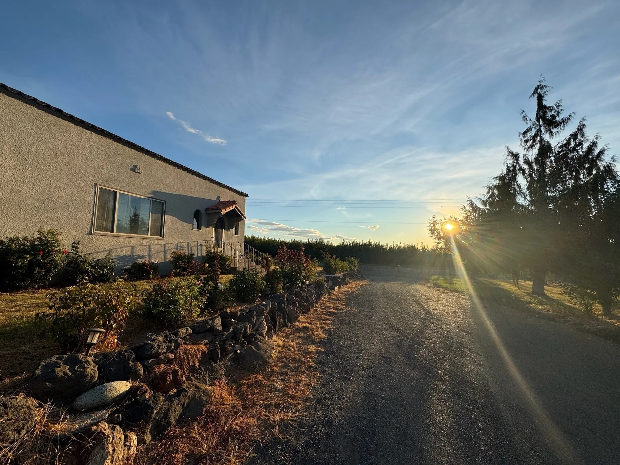 Sunrises come up over the cherry orchard across the street