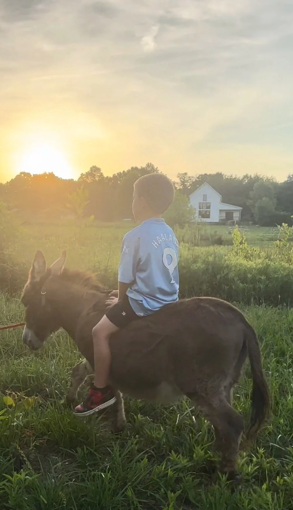 Griff+riding+Nelly+sunset.jpg