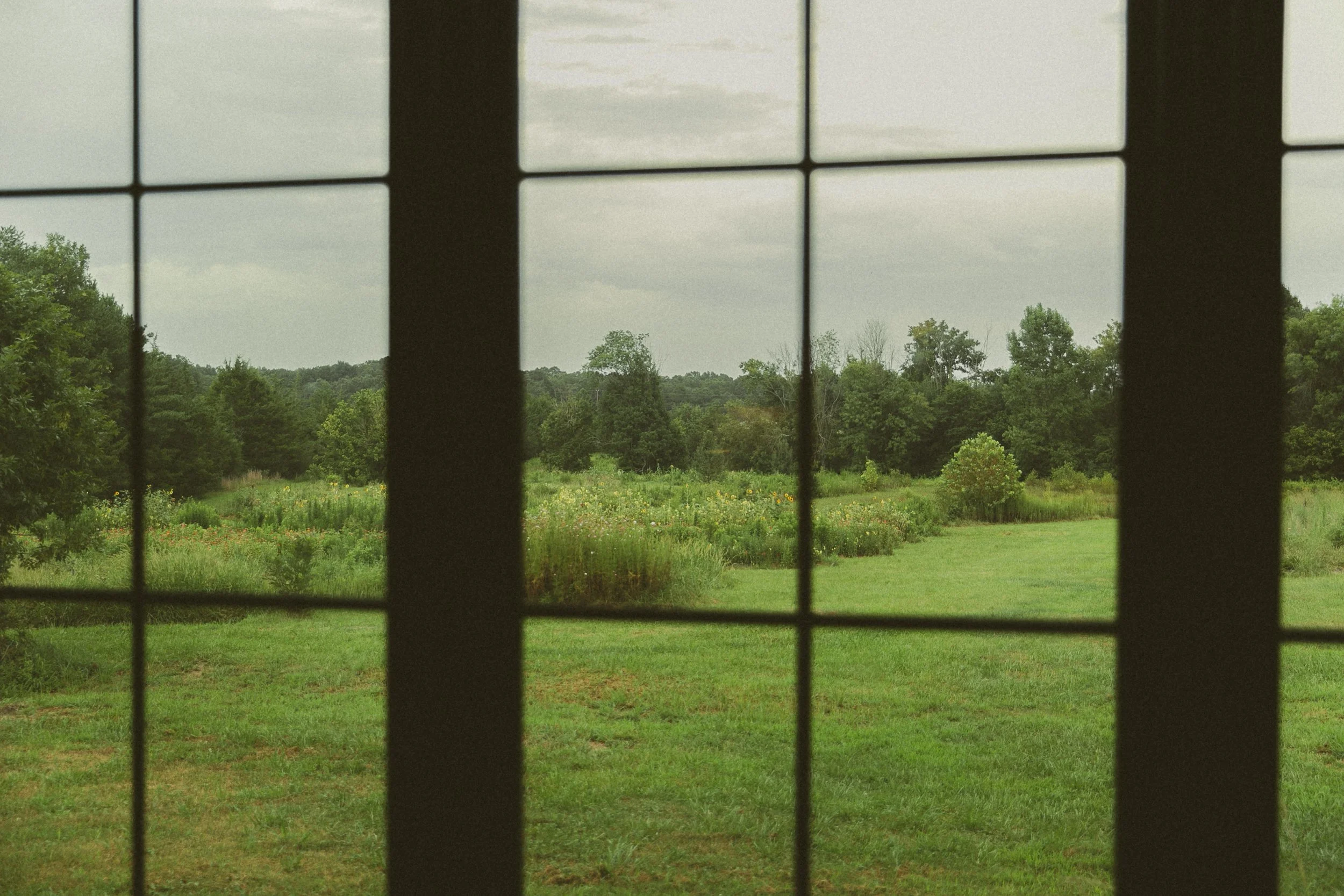 House back window.JPG