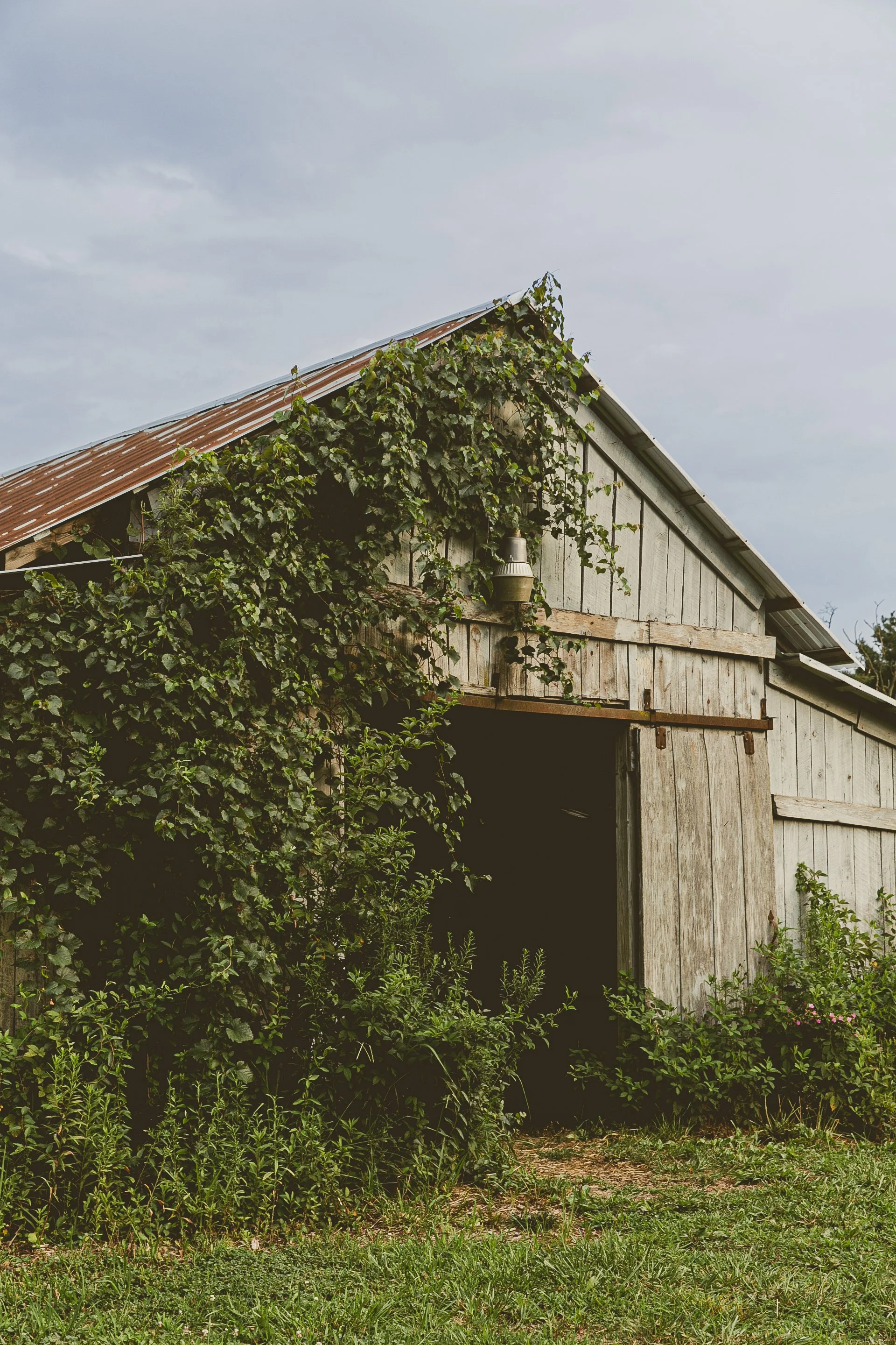 Barn3.JPEG