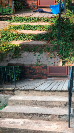 Comparison of exterior stairs showing overgrown steps with grass and overgrown plants on the top, and cleaner, well-maintained steps with a wooden platform at the bottom.