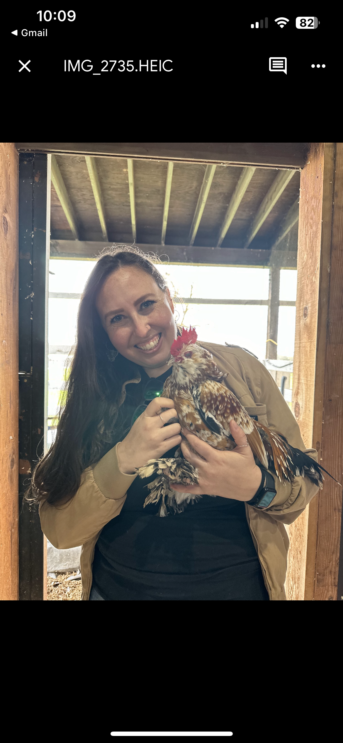 A woman smiling and holding a colorful chicken inside a wooden structure, with a backlit outdoor scene visible through the open window behind her.