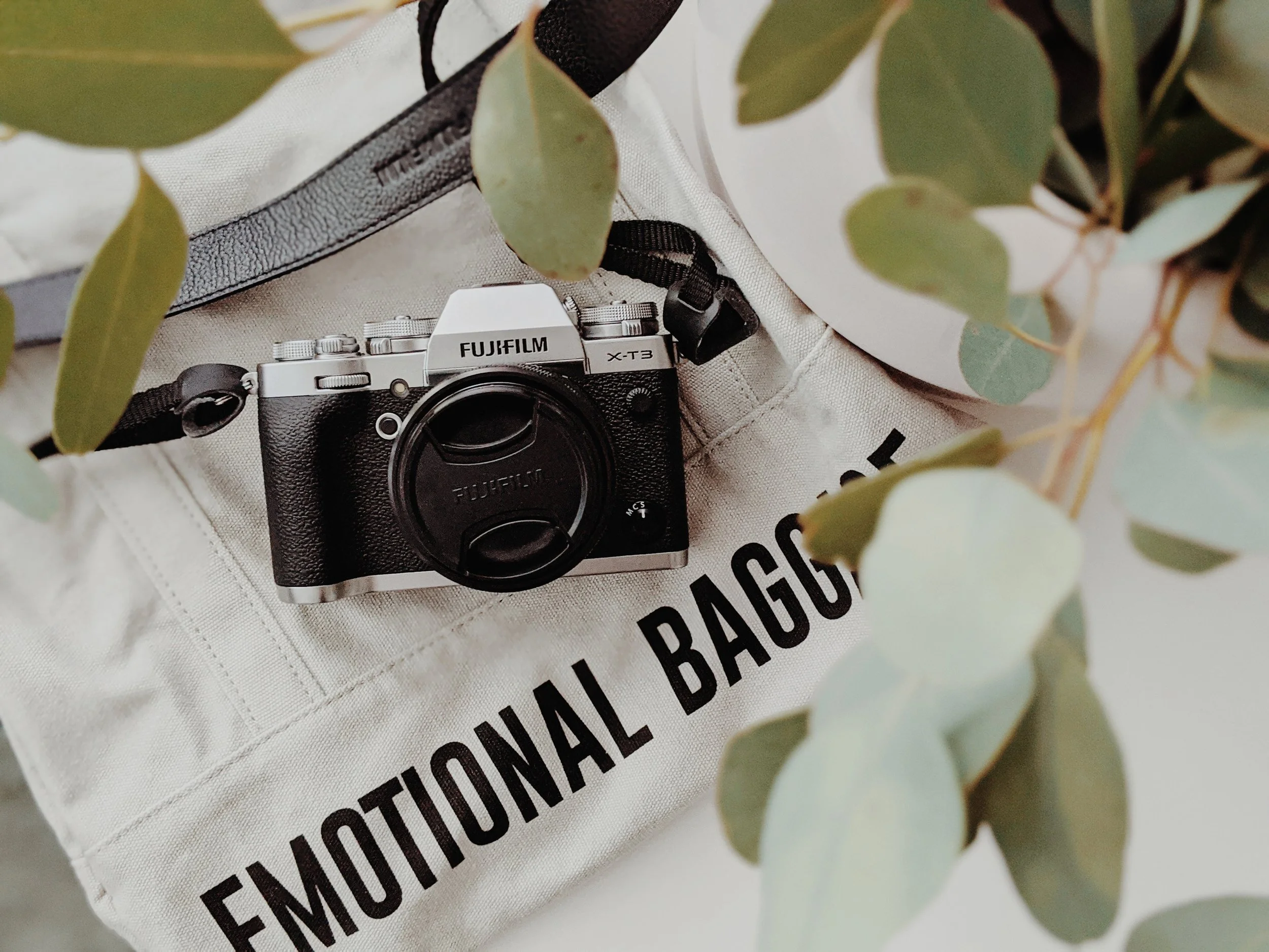 My Go-To Photo Tools