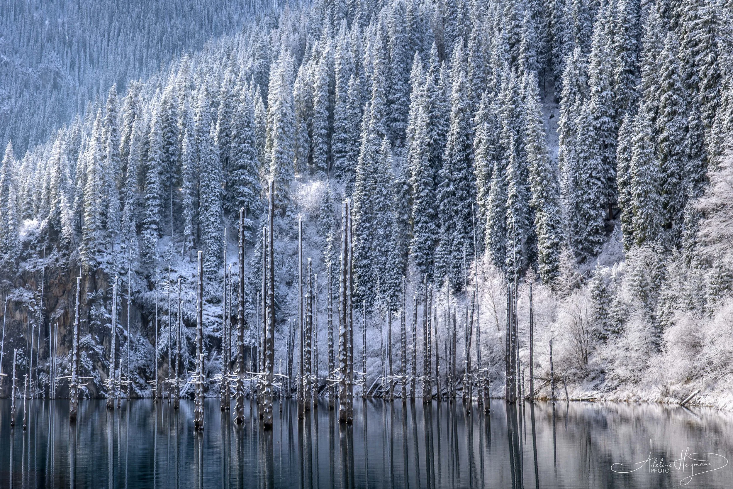 Central Asia_AdelineHeymannPhoto_LowRes-5.jpg