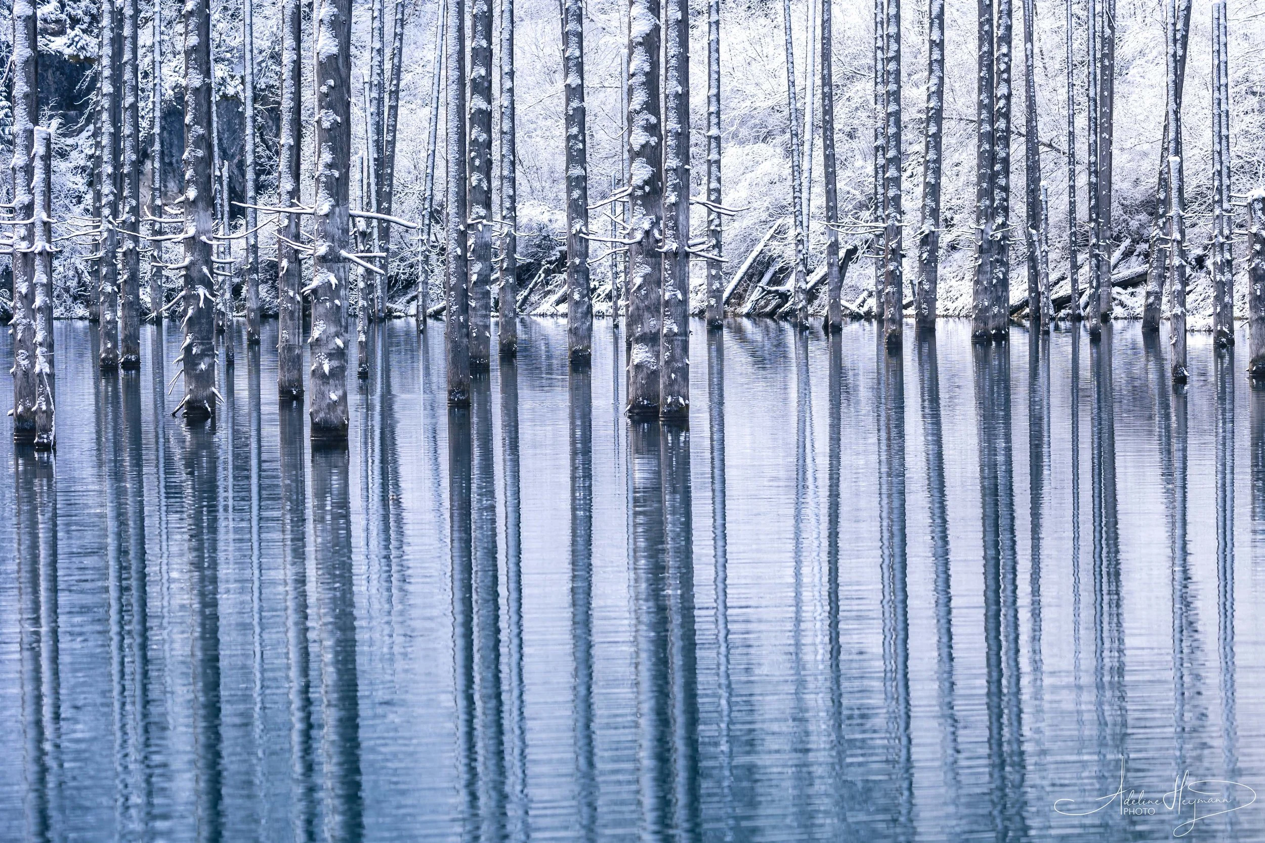 Central Asia_AdelineHeymannPhoto_LowRes-6.jpg