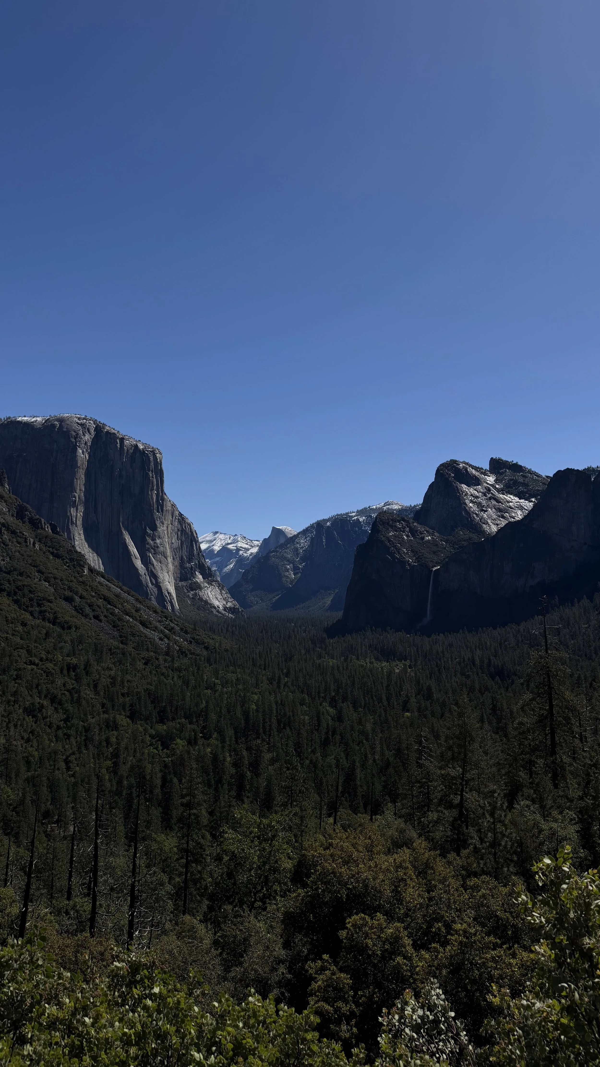 Yosemite National Park