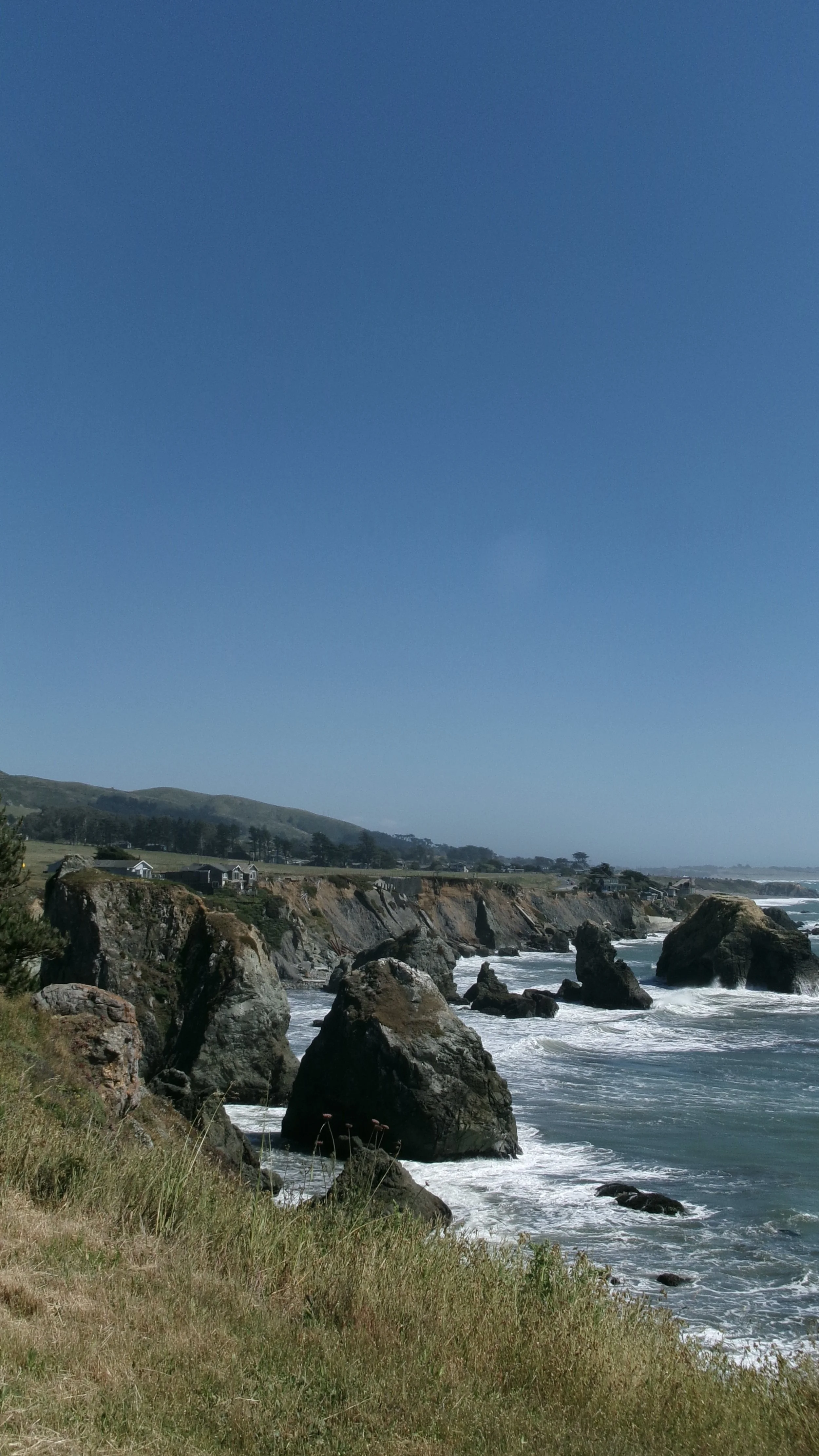 Bodega Bay 