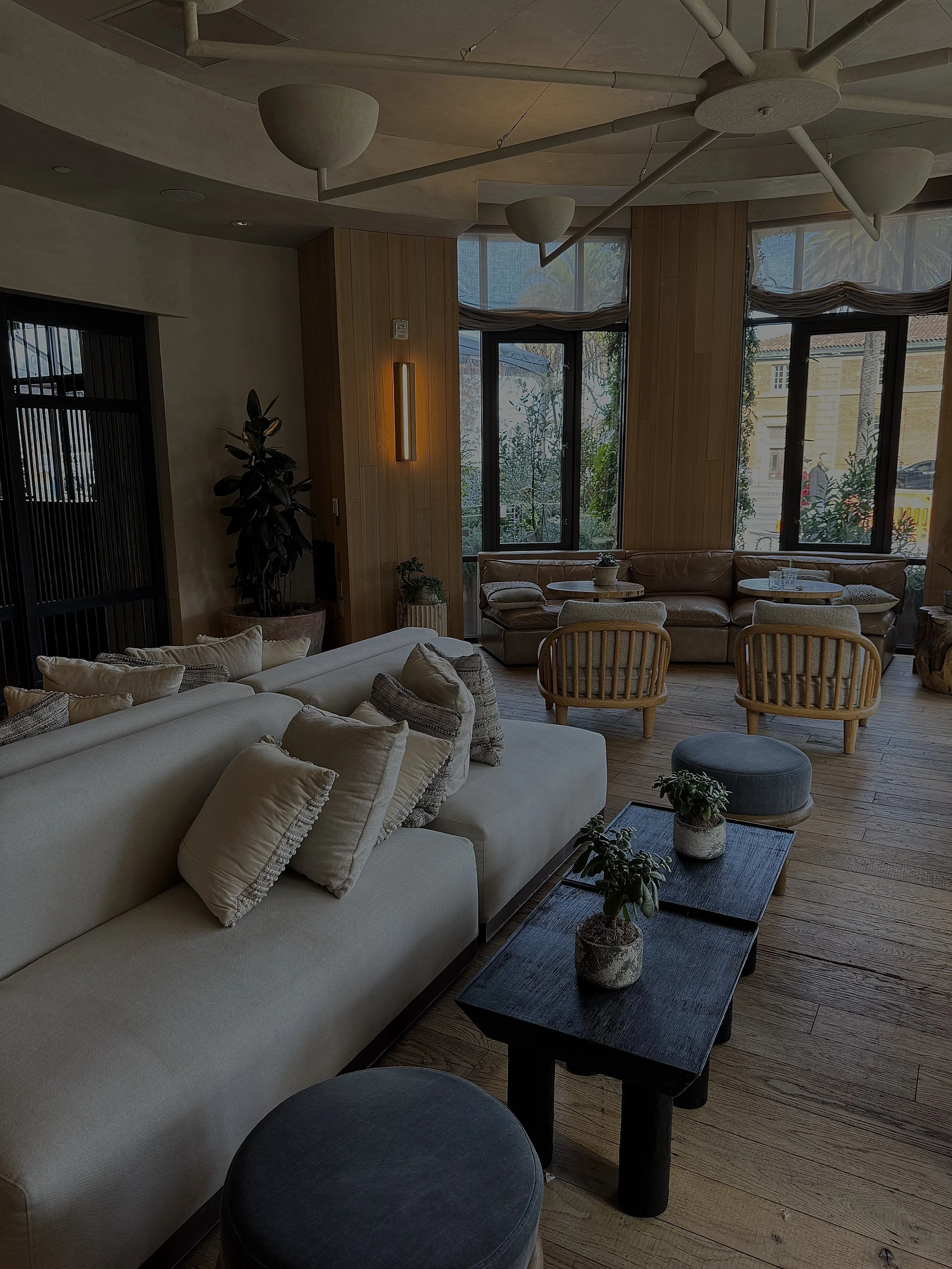 A cozy, modern living room with a white sofa filled with beige and gray pillows, wooden chairs, a black coffee table with potted plants, large windows, and a ceiling light fixture.