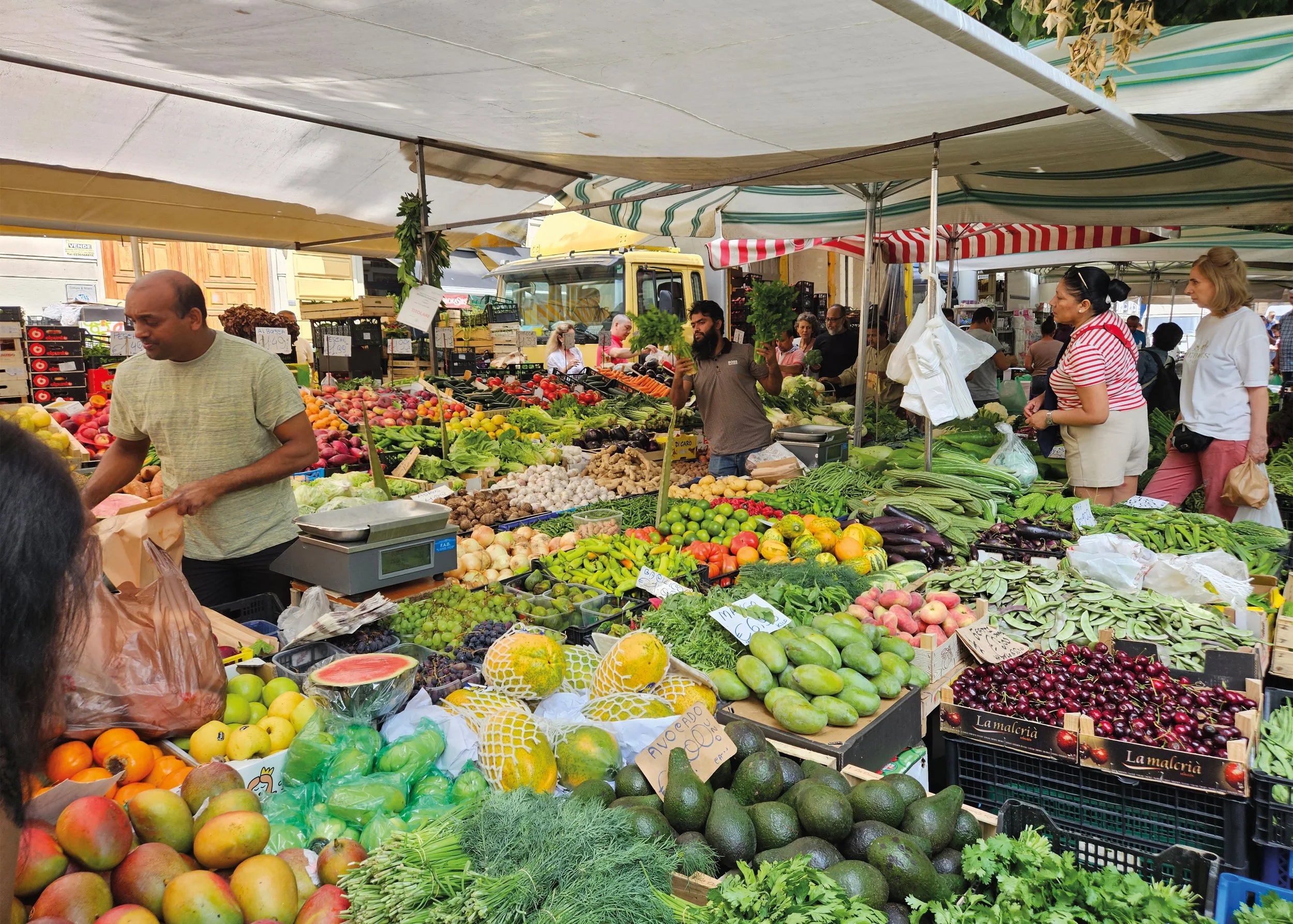 MALUNJKAR_CORRIE_Full Circle Food Tour_6.jpg