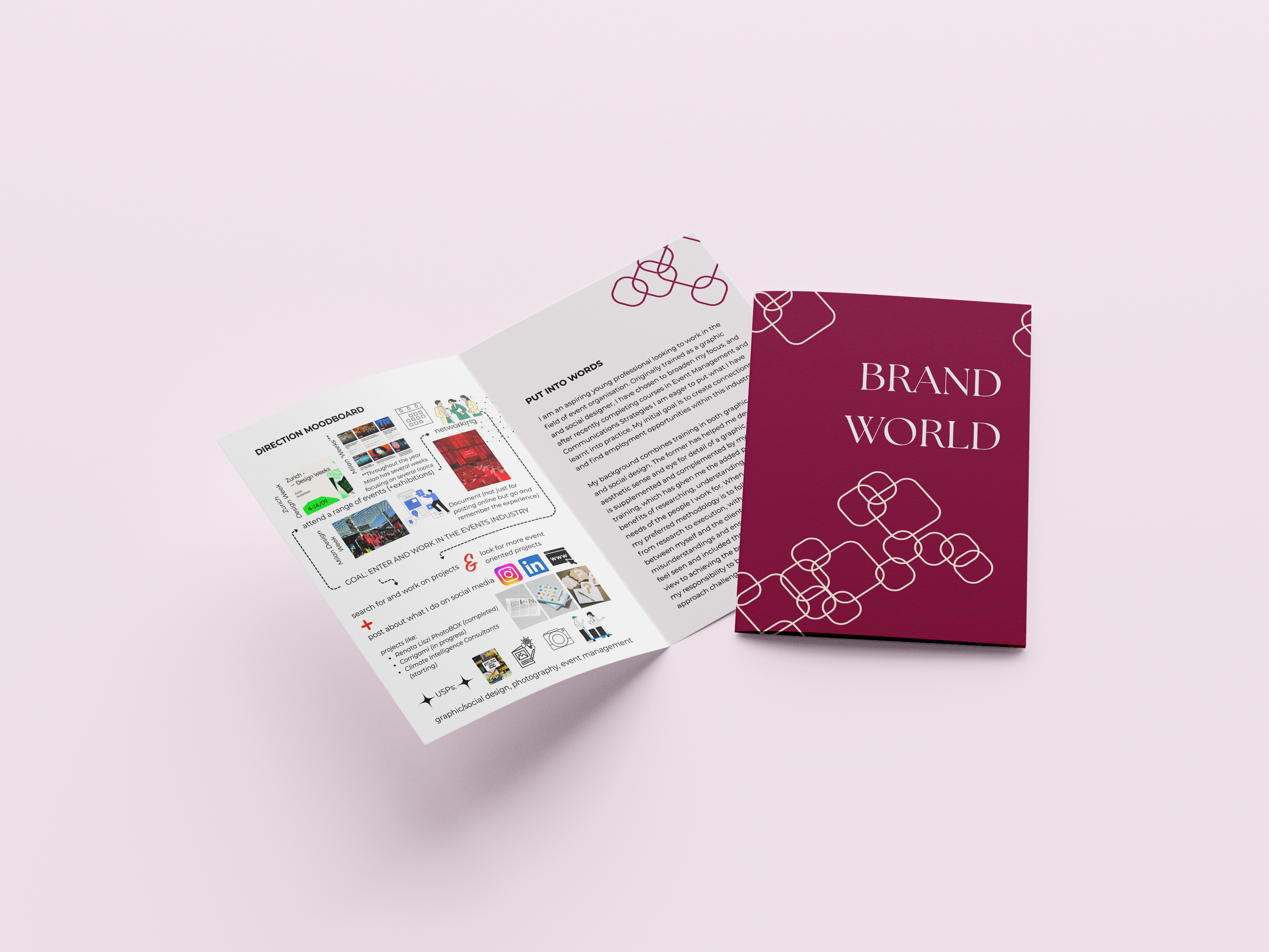 ECAL Personal Manifesto