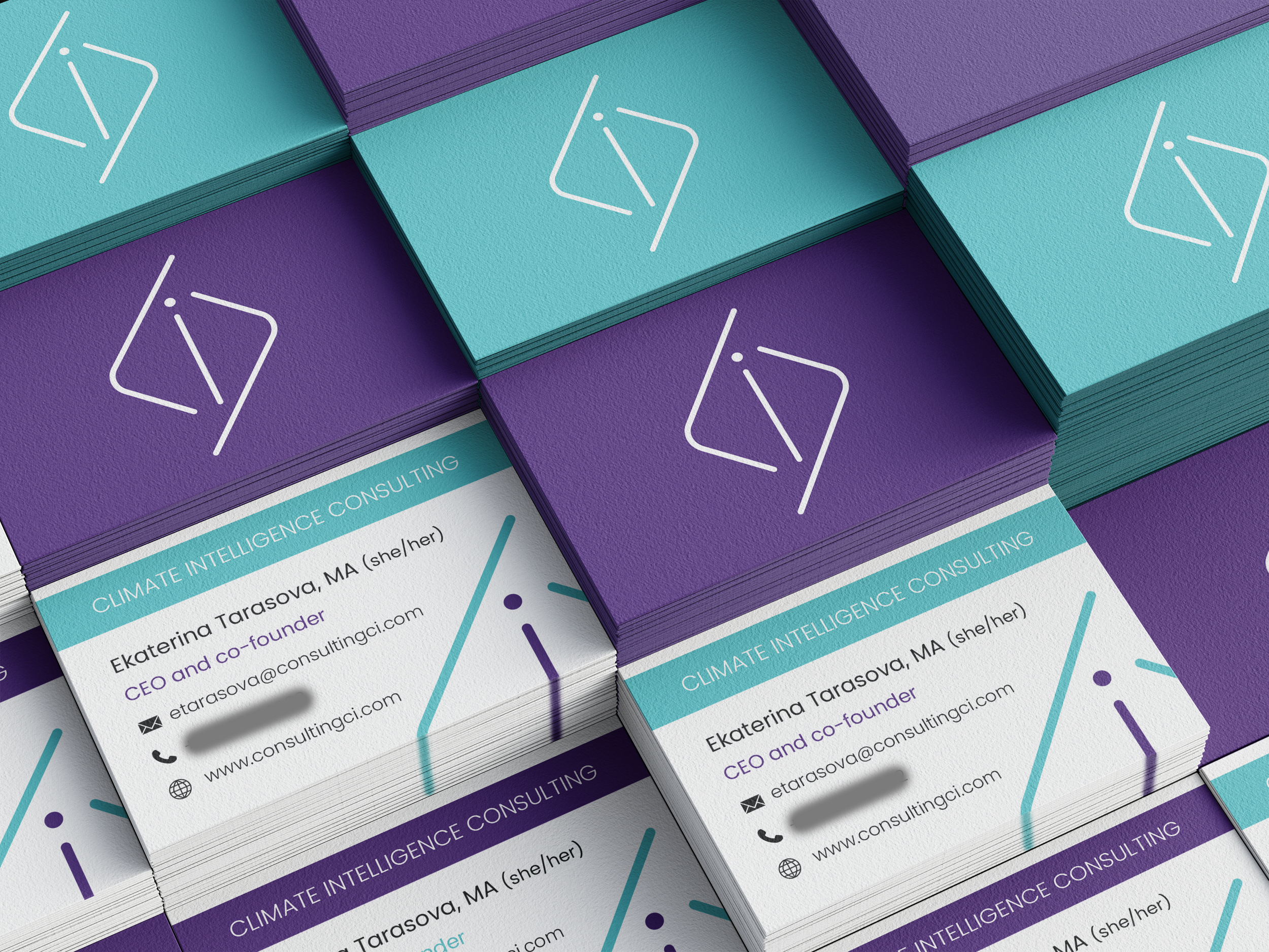 Branding for Climate Intelligence Consulting