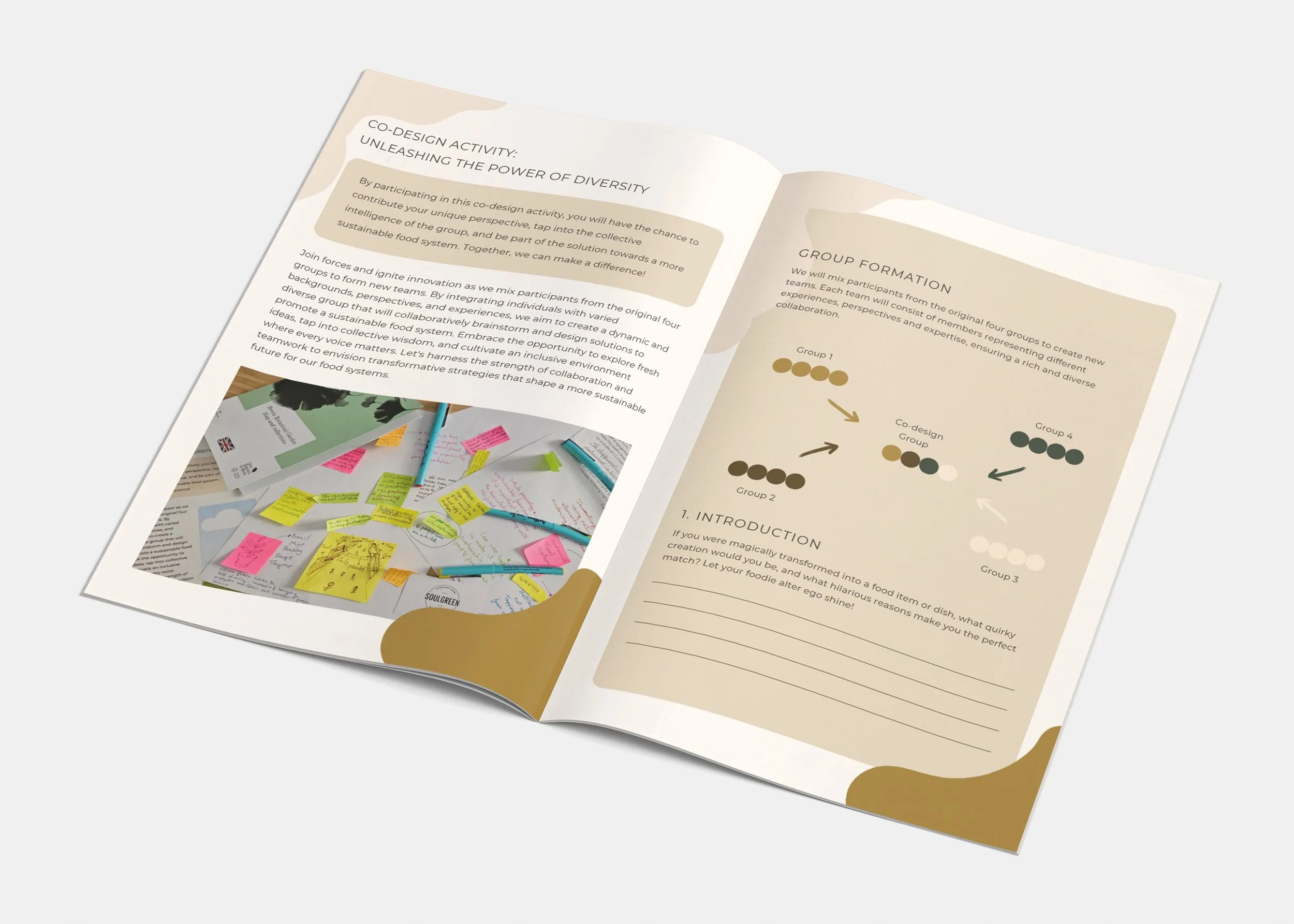 MALUNJKAR_CORRIE_Full Circle Food Tour_2.jpg