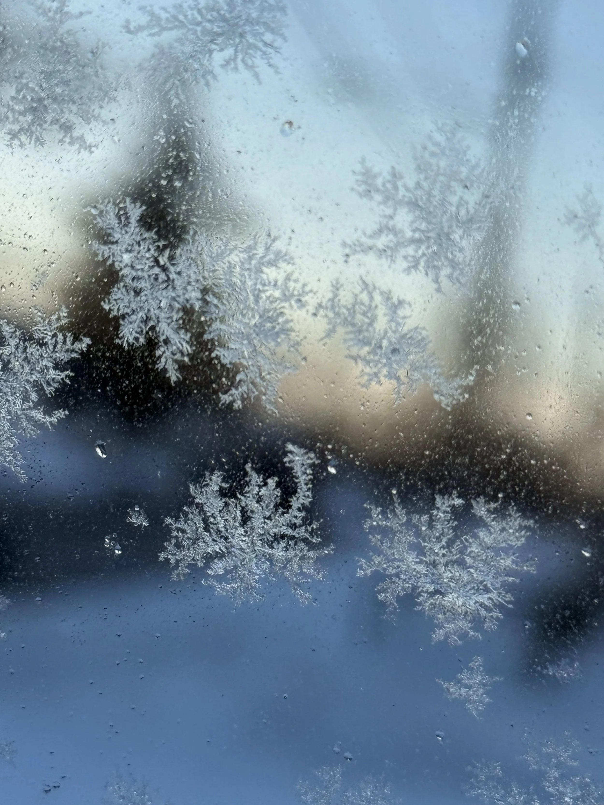 Why Winter Feels So Hard (and How to Support Yourself Through It)