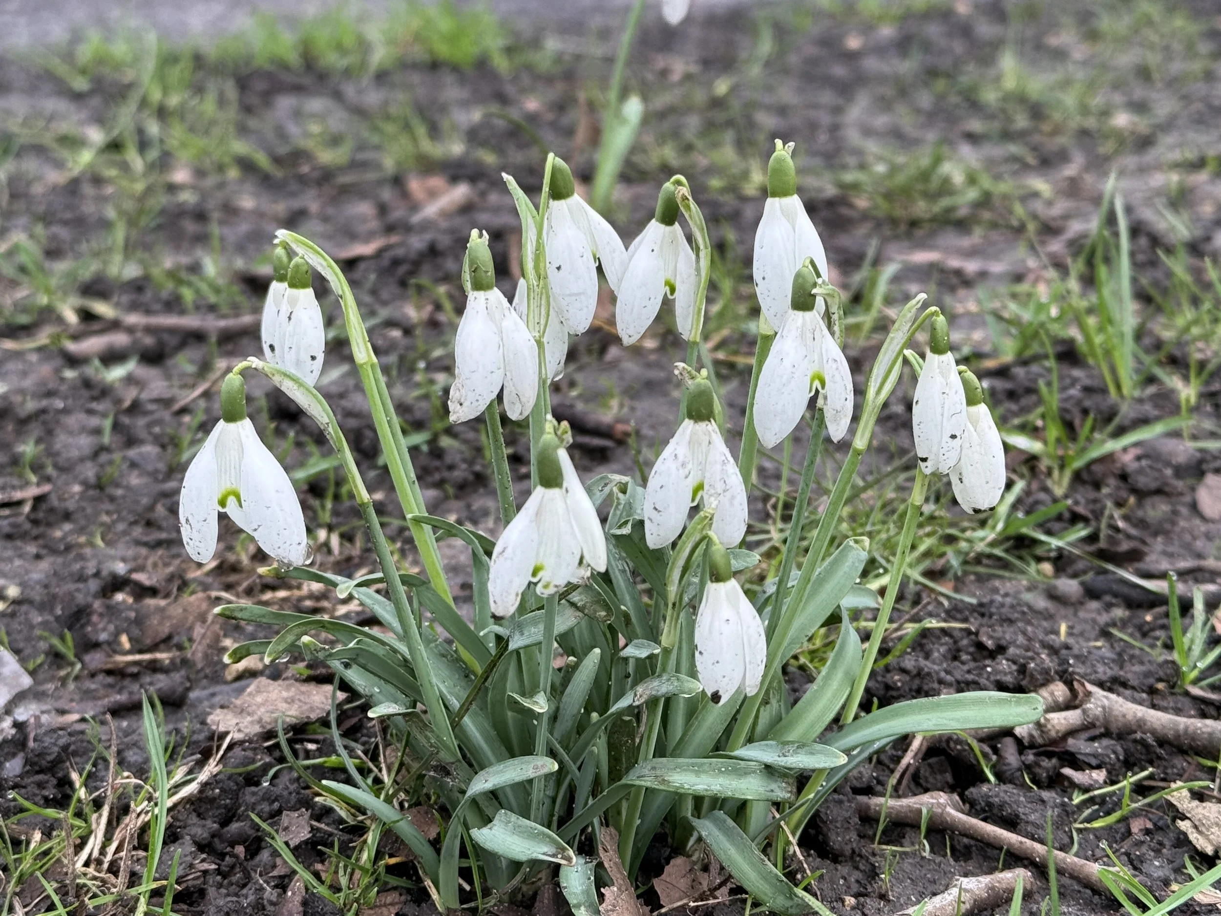 Step Into Your Healthiest Self: A Simple 7-Day Reset