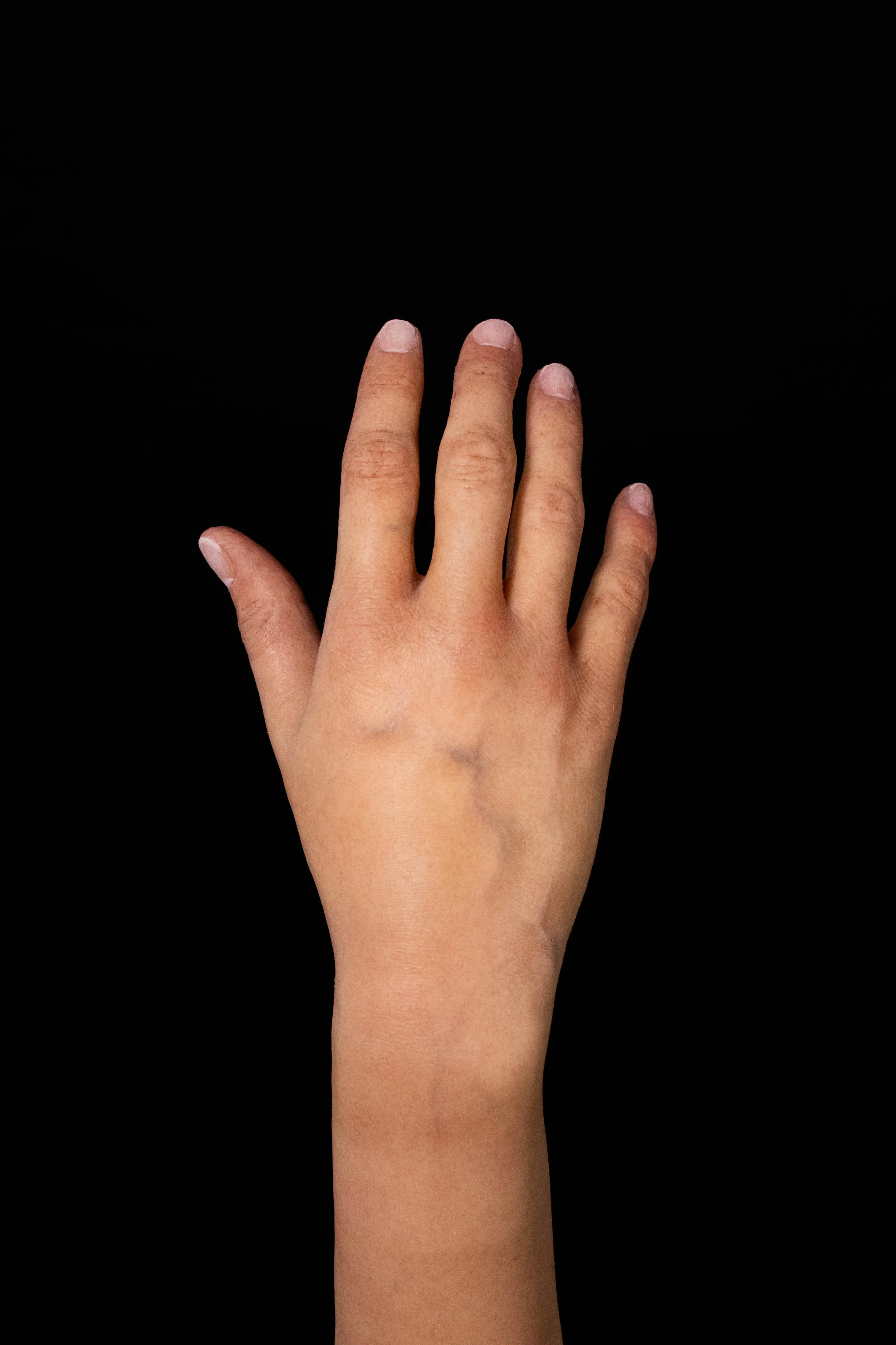 Film_Little Miss Daisy Lee_hand_2025fall-065.jpg