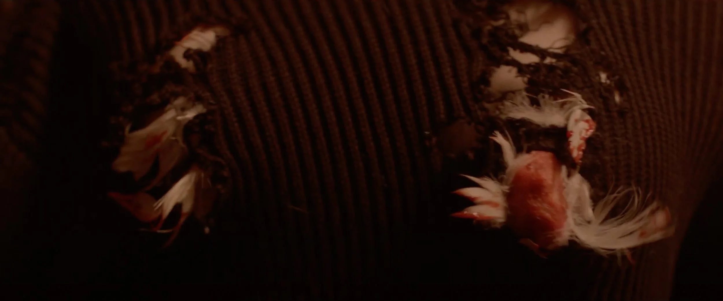 截圖 2025-05-18 下午1.38.26.jpg