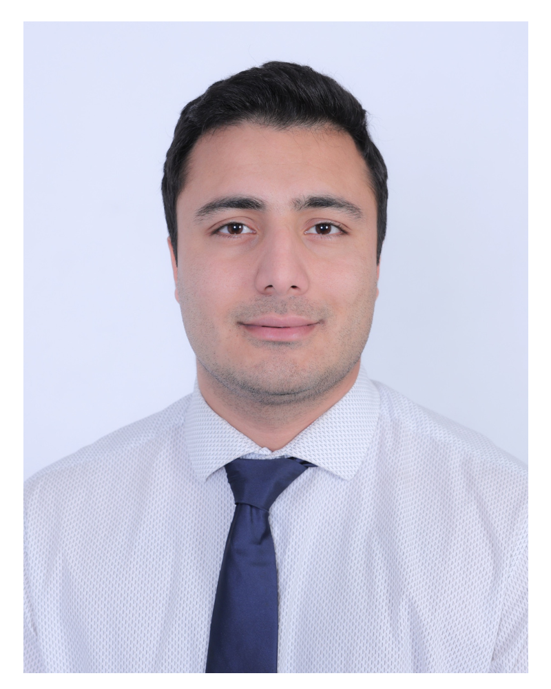 Arif Wali for County Council at Large