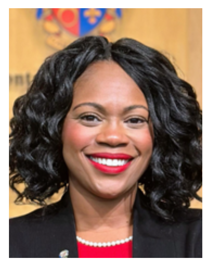 Laurie Ann Sayles for County Council at Large