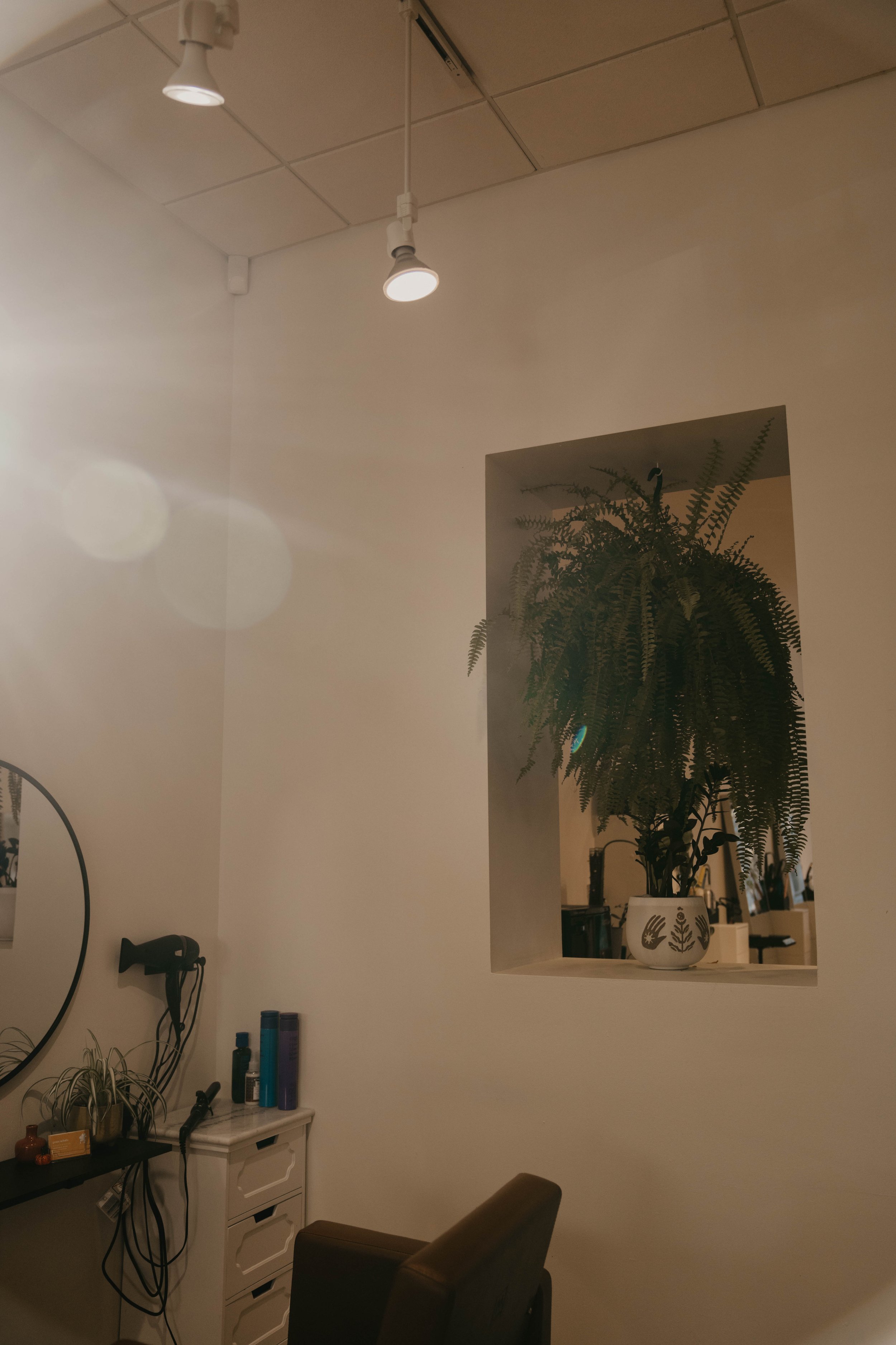 Interior view of a room with a ceiling-mounted spotlight, a large potted fern in a white decorative pot, and a small white cabinet with hair styling tools, cords, and bottles nearby. There is a wall opening with the fern visible through it.