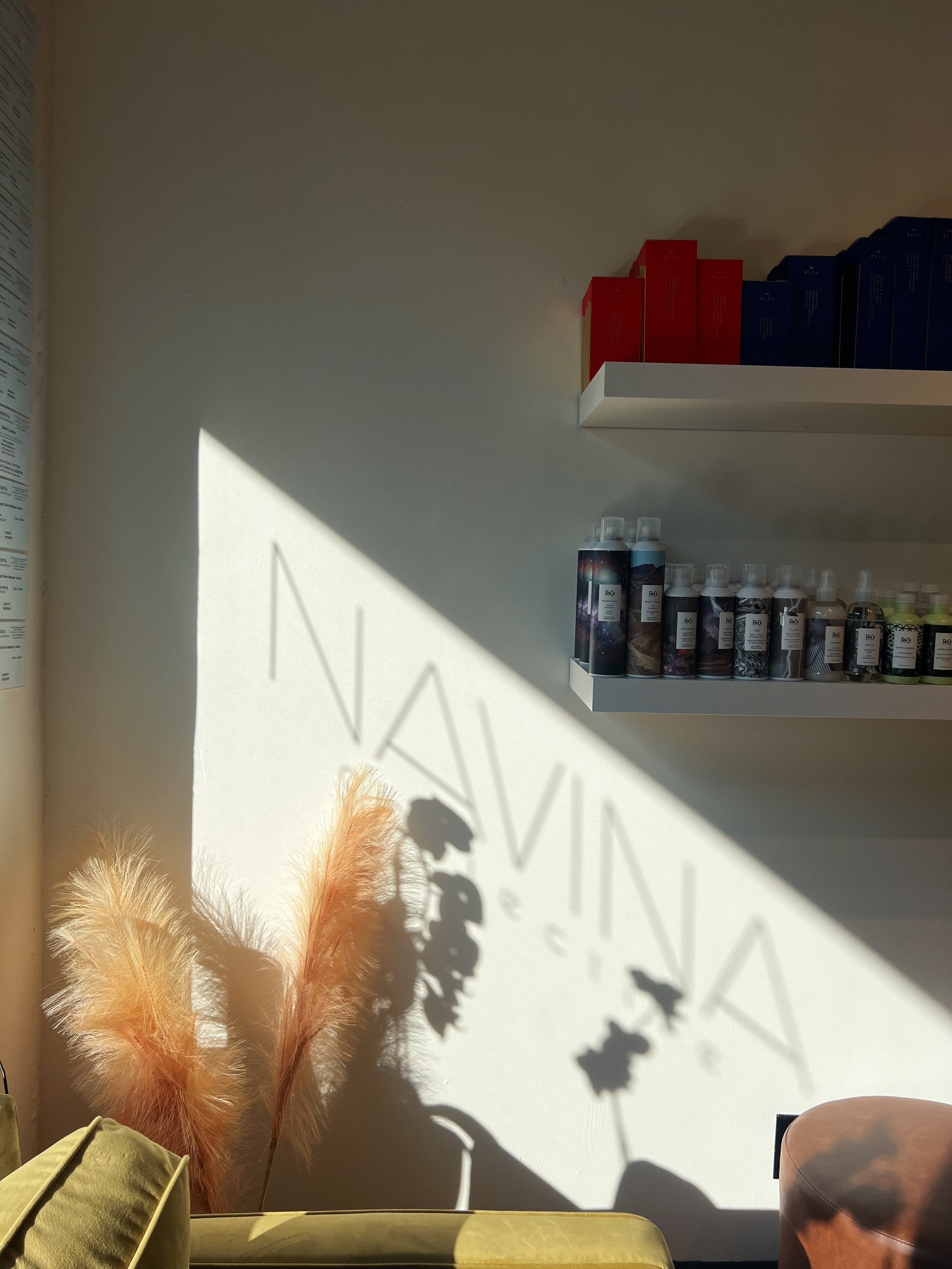 Sunlight casting shadows of plants and furniture on a plain wall with shelves of colorful boxes and bottles. R and co