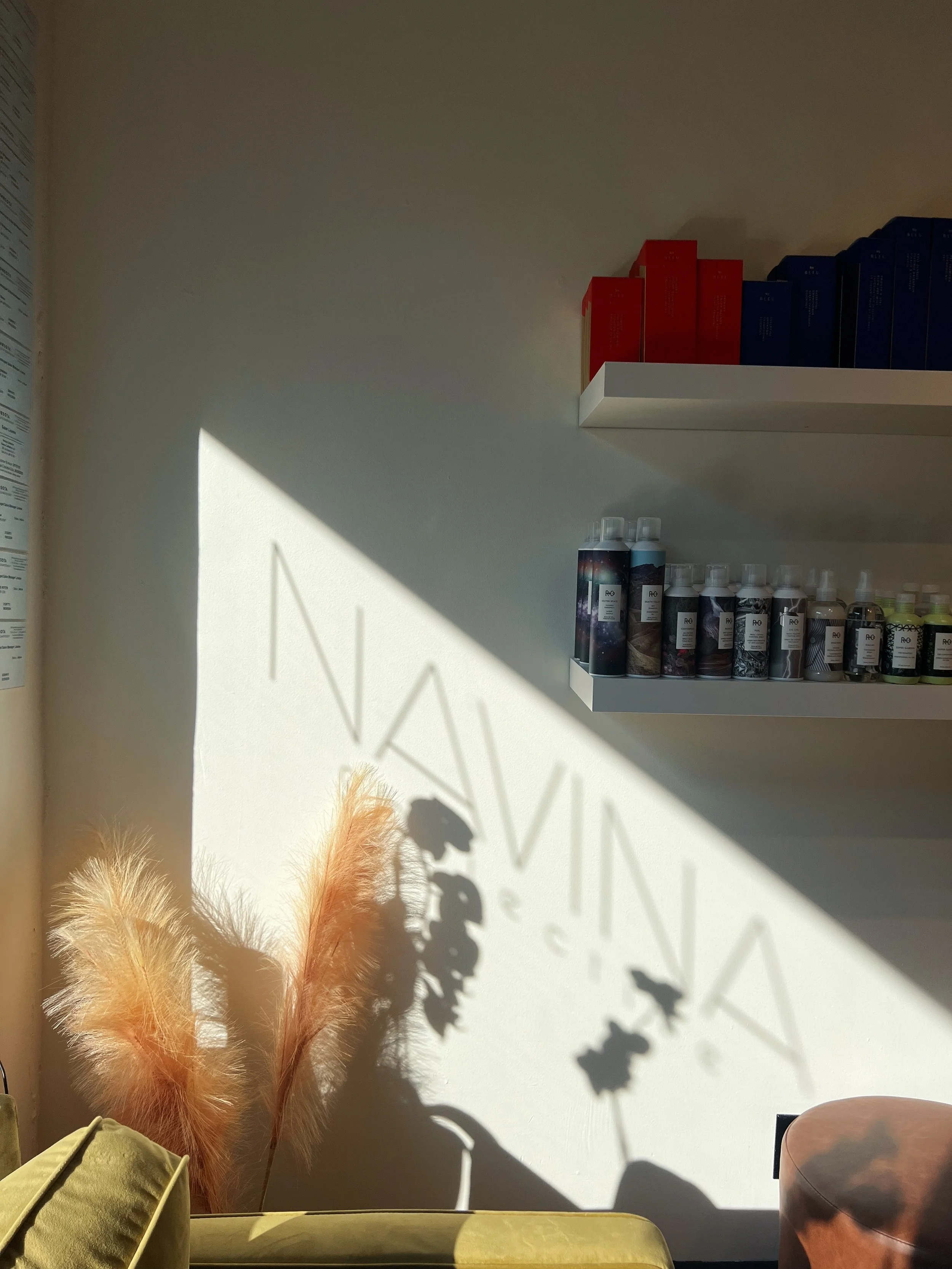 Sunlight casts shadows of dried plants on a plain wall. Shelves with colorful boxes and bottles are partially visible.