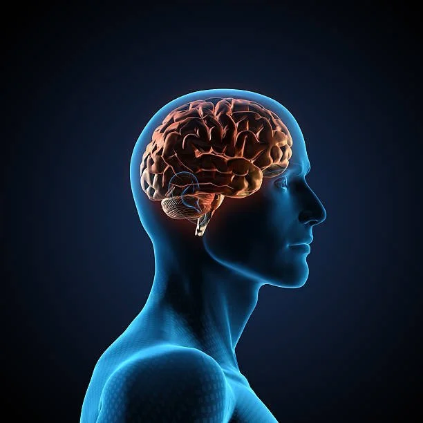 istockphoto-117613065-612x612.jpg