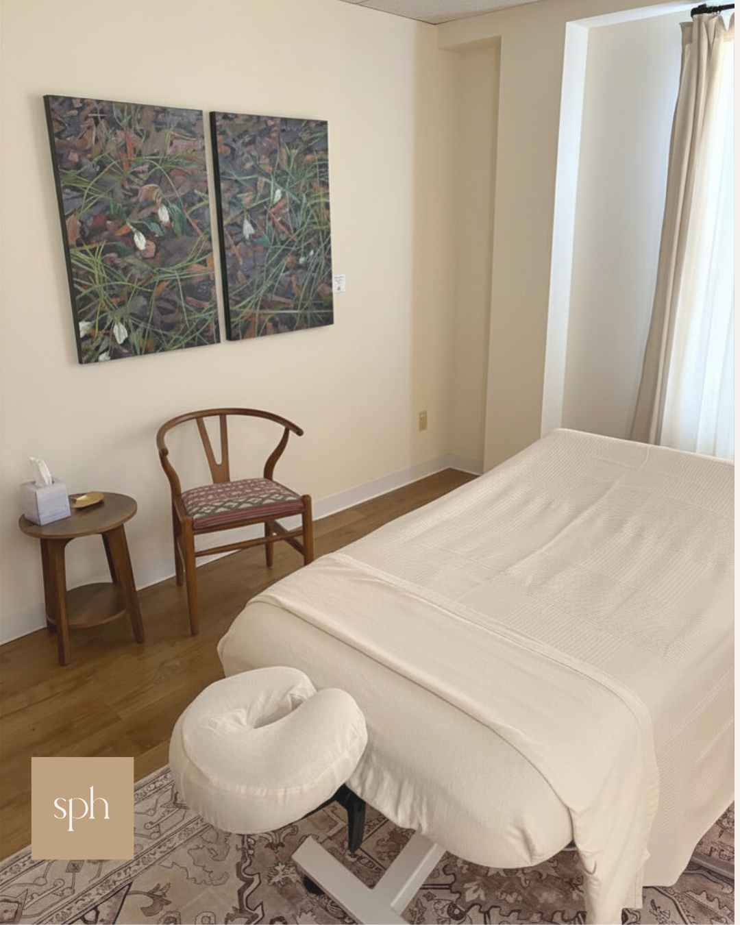 Massage treatment room with snow drop painting