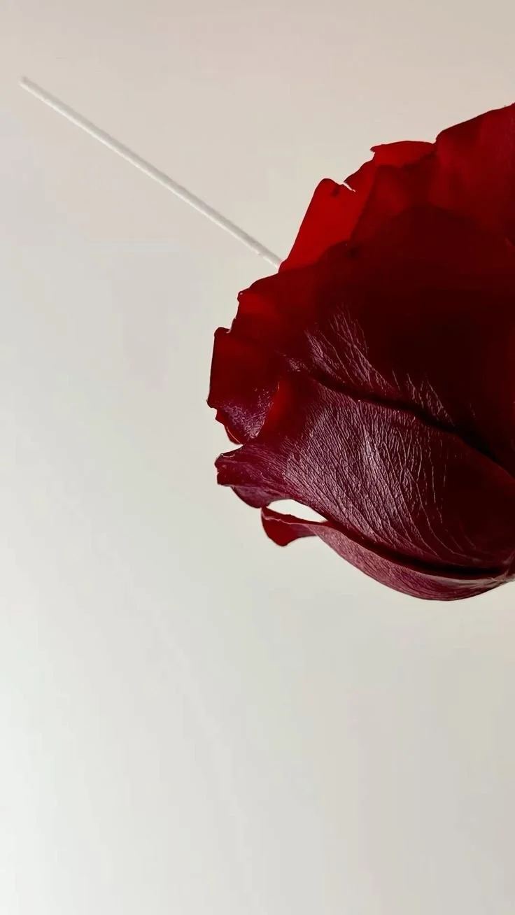 red flower.jpg