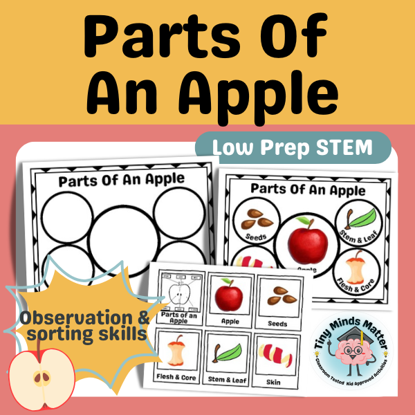 Parts Of  An Apple.png