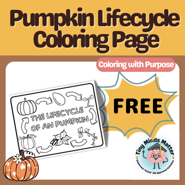 pumpkin coloring page.png