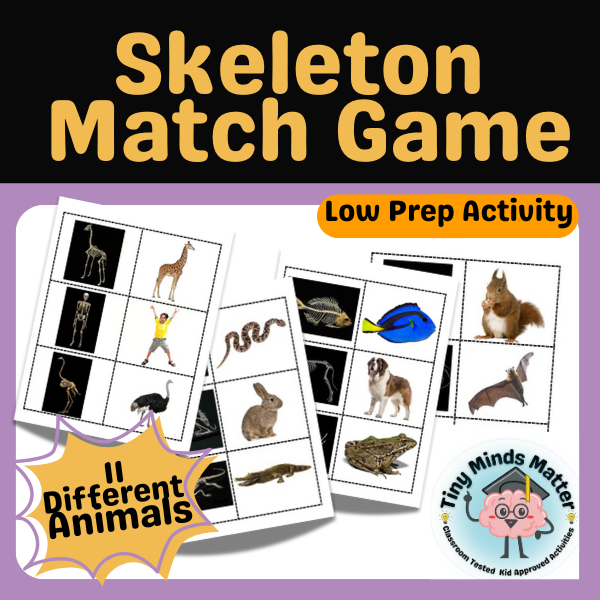 Skeleton  Match Game.png
