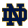 Notre Dame.png