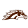 Western Michigan.png