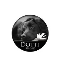 dotti plaque.jpg