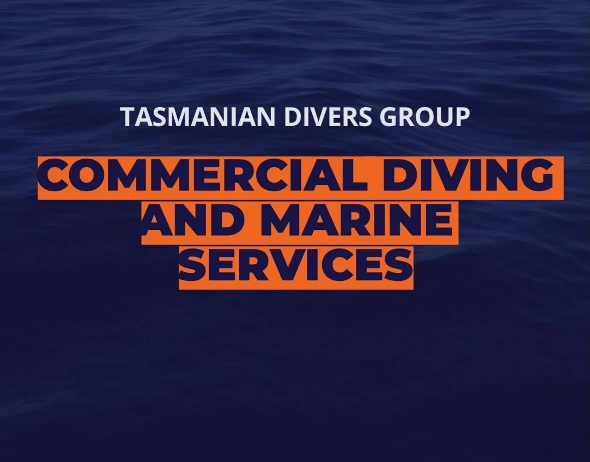 Who are we?

Tasmanian Divers Group is a leading Tasmanian provider of commercial diving, marine services and underwater inspection capability.

We deliver high-capacity support across ports, infrastructure, utilities and marine construction, backed 