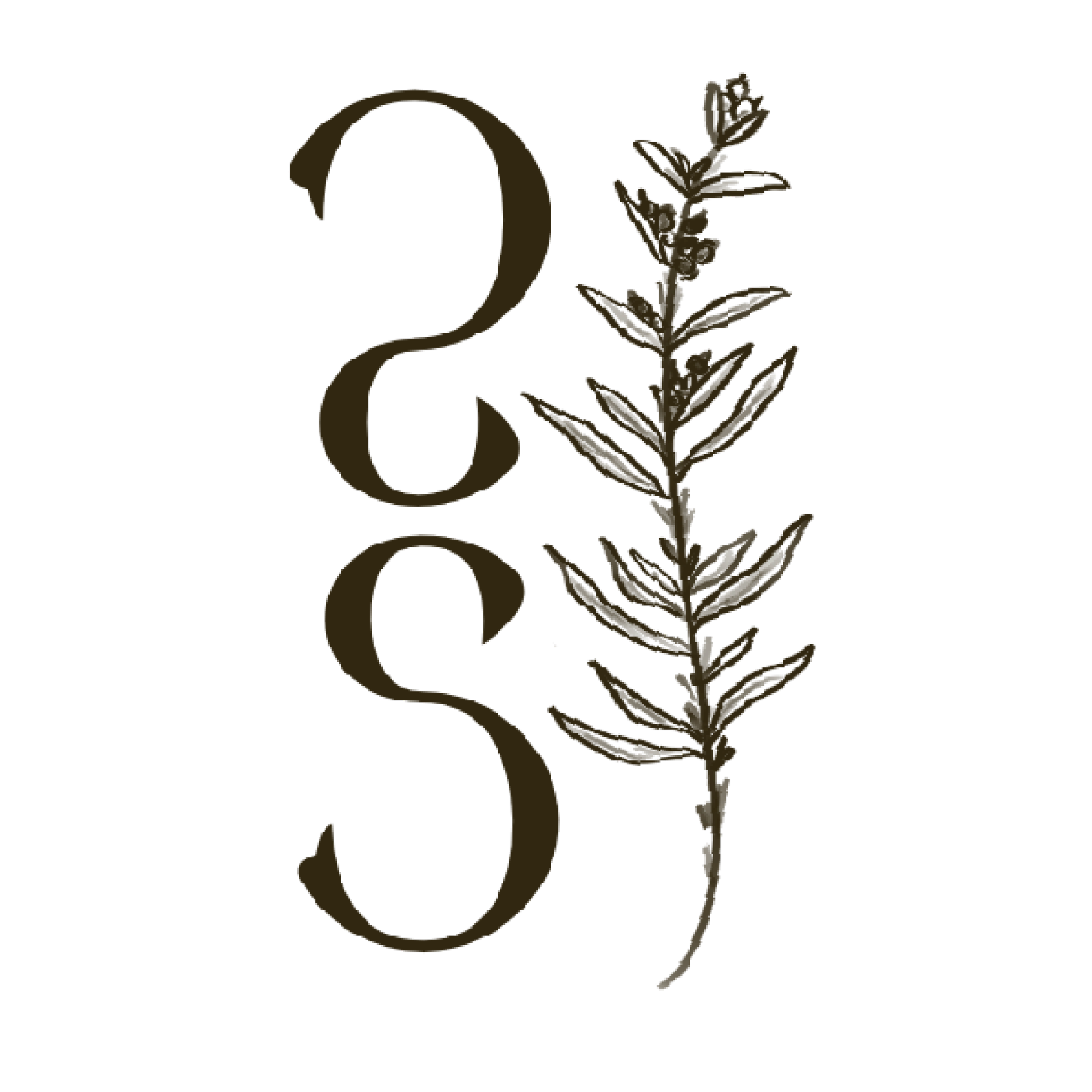 Stylized gold cooking utensils with the letters S and C intertwined with a sprig of herbs.