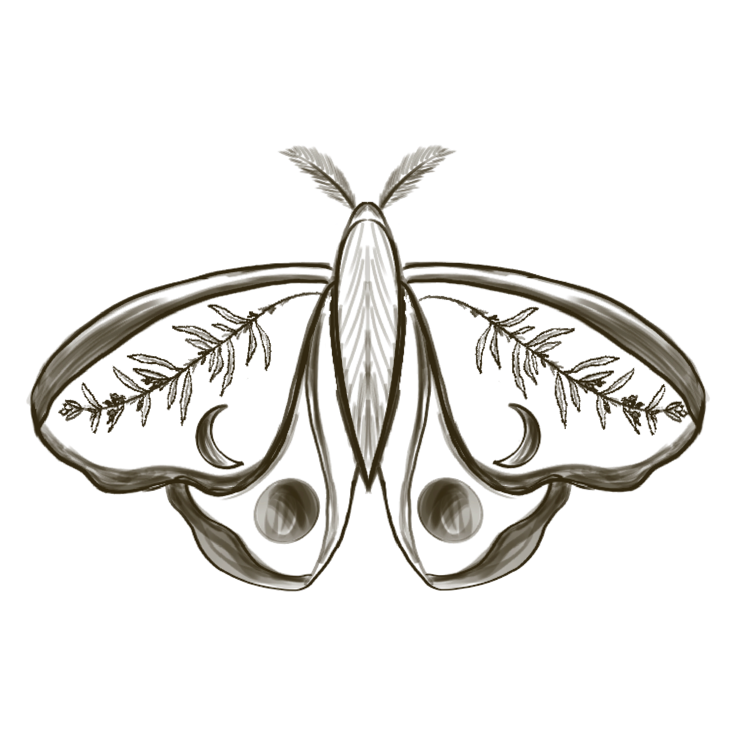 Stylized illustration of a moth with decorative wings featuring feather and swirl patterns.