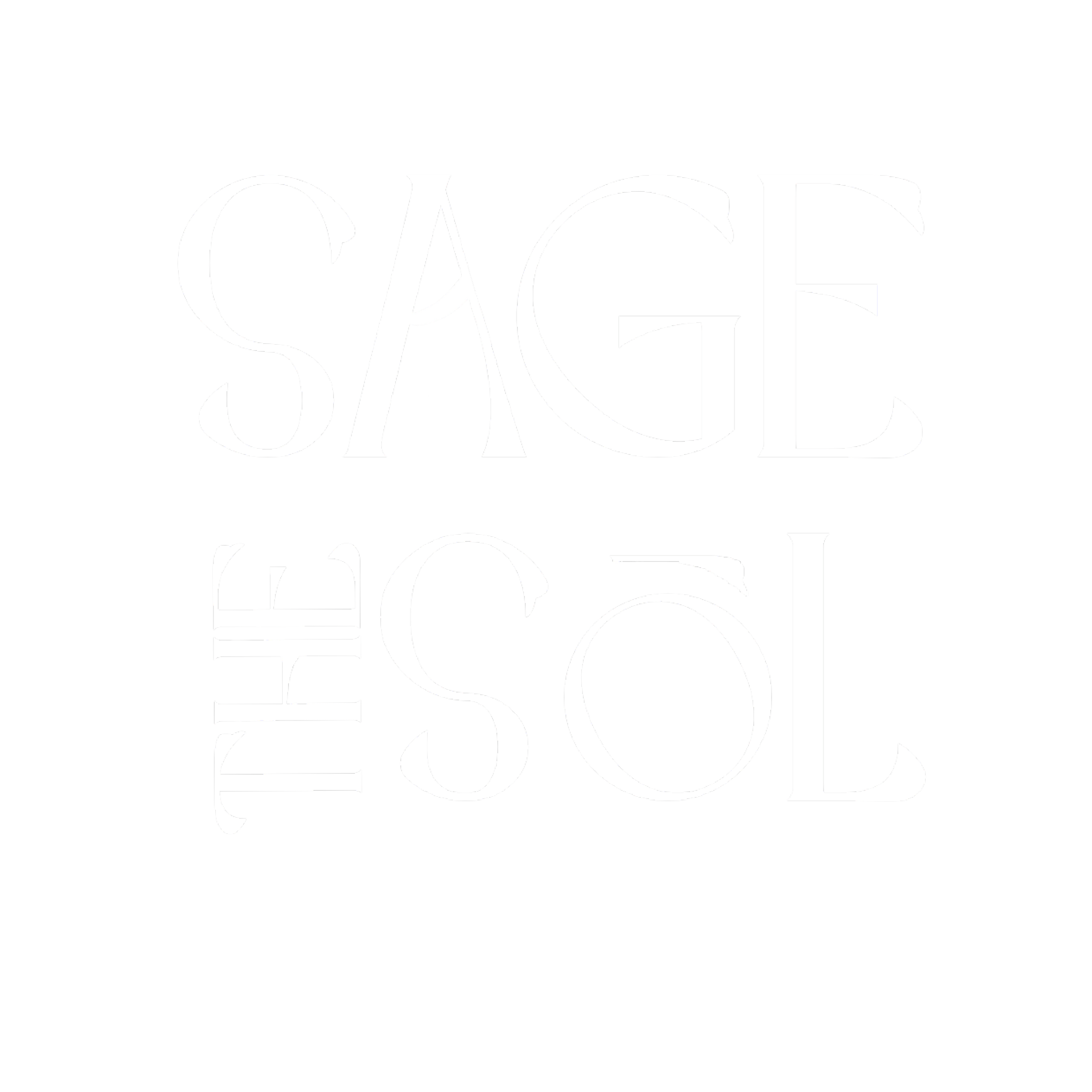 Black background with white text that reads 'SAGE THE SOL.' The text is arranged with 'SAGE' on top and 'THE SOL' below, with a stylized, artistic font.