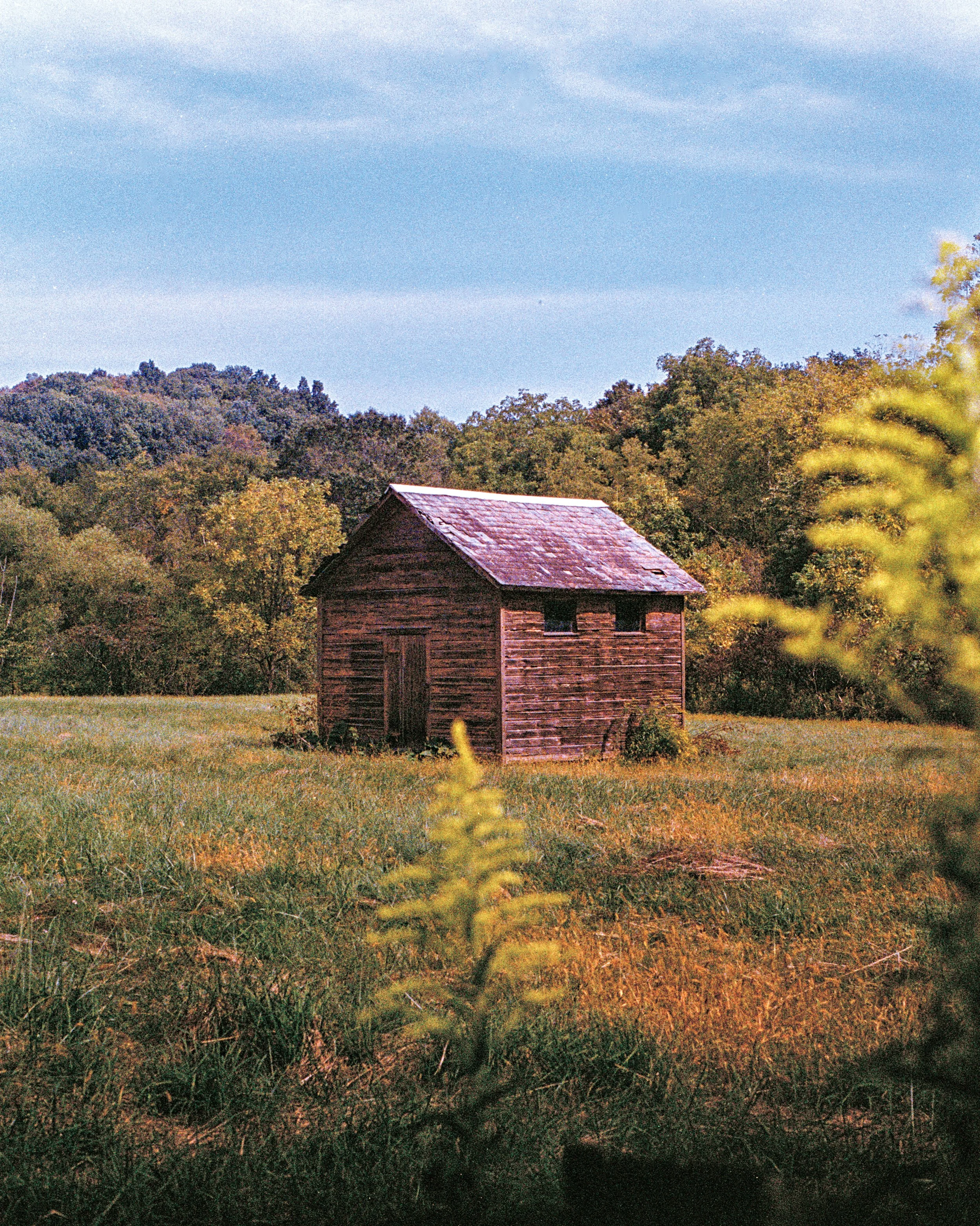 A rustic wooden barn sitting in a grassy field, with a tree line and green hills in the background under a blue sky.