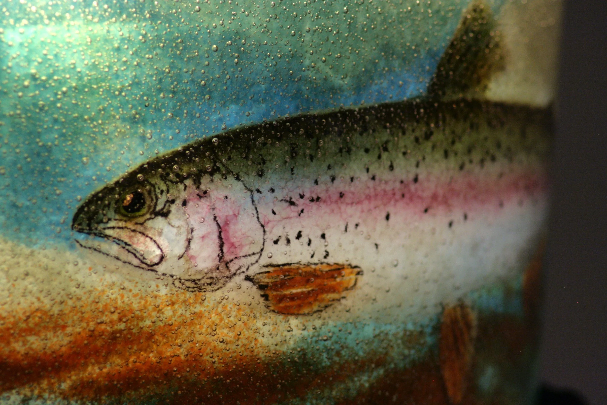 Trout  |  Fused Glass  |  7.5” x 18” x .75”  |  2014