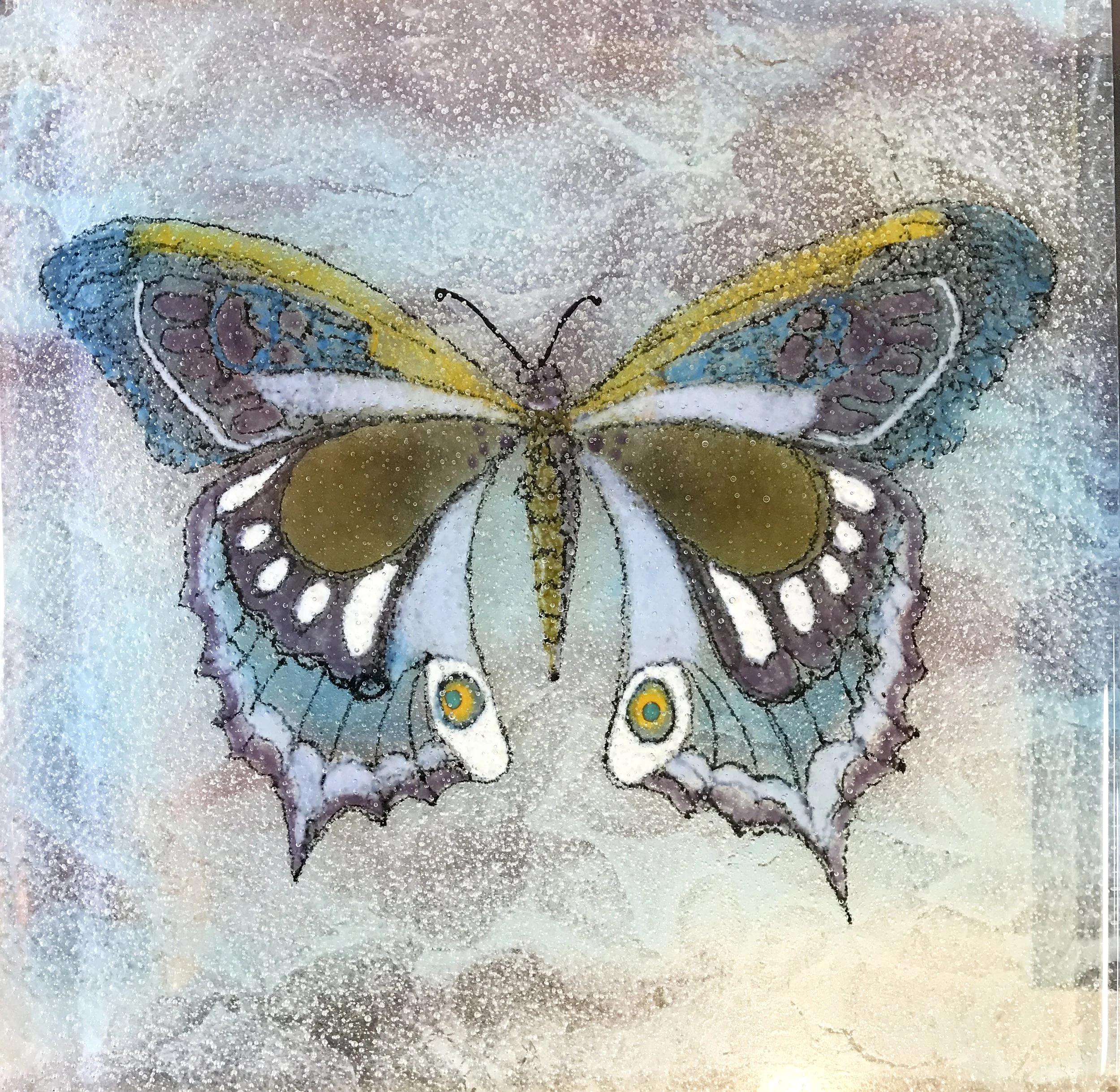 Class_pwg_butterfly_3.JPG