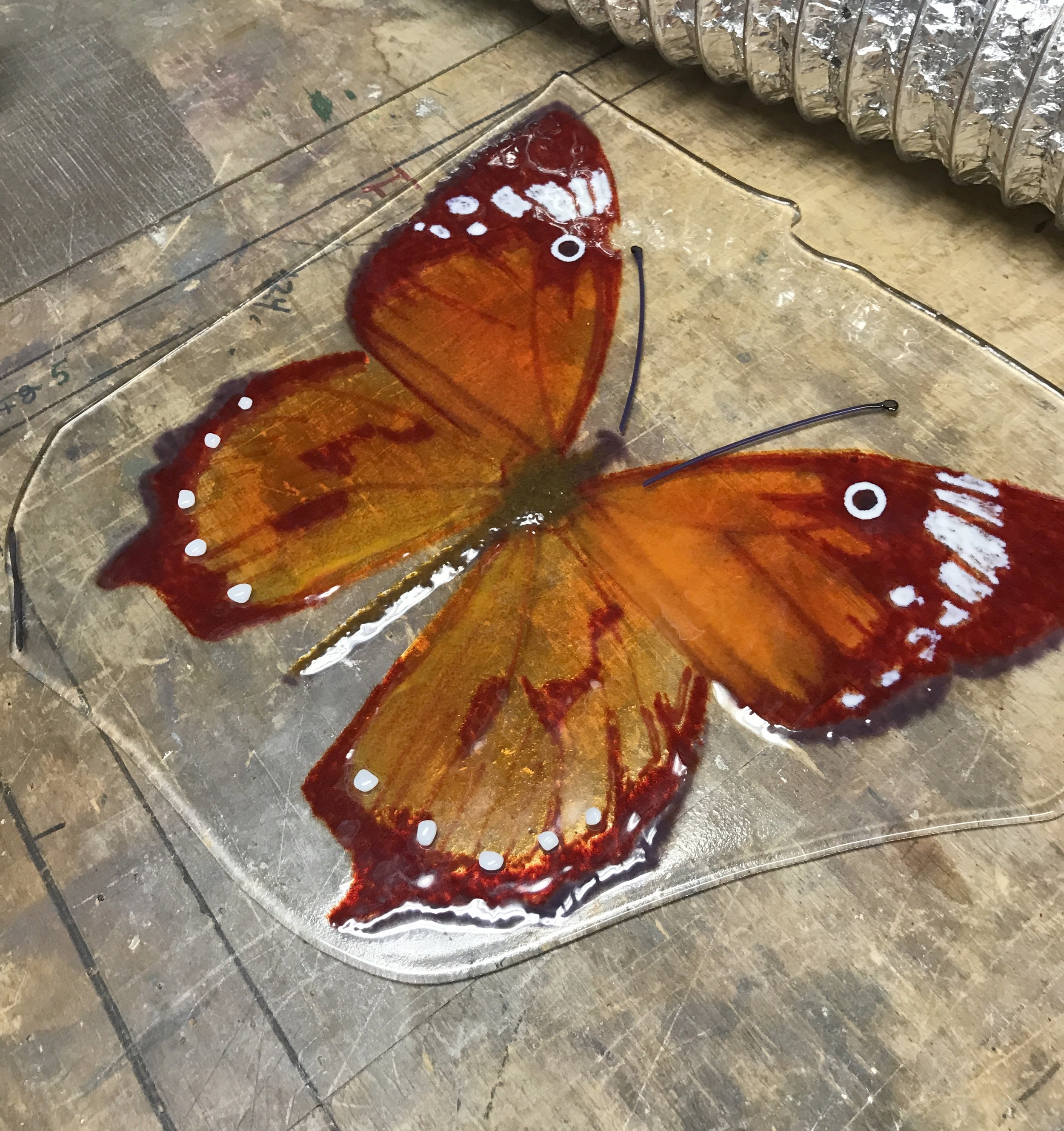 Class_pwg_butterfly_1.JPG