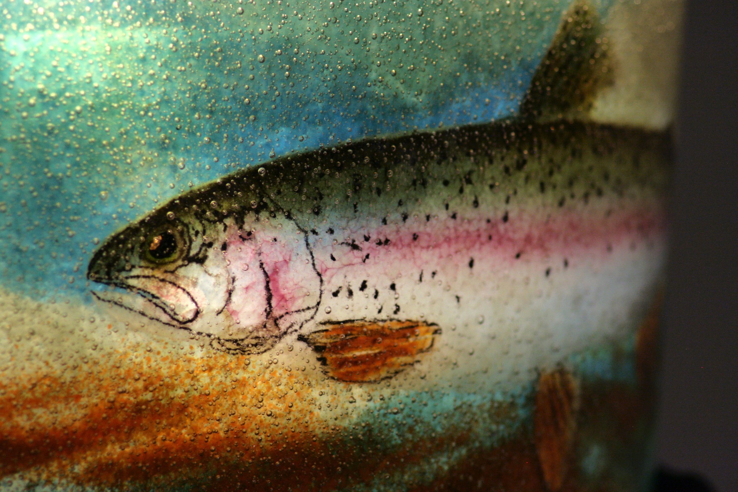 Class_PwG_trout_1.JPG