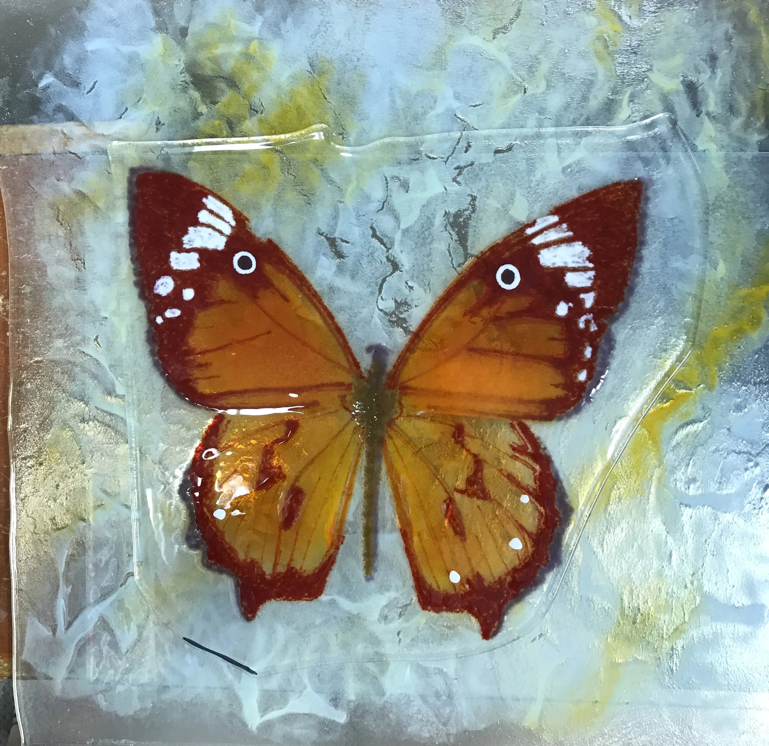 Class_pwg_butterfly_2.JPG
