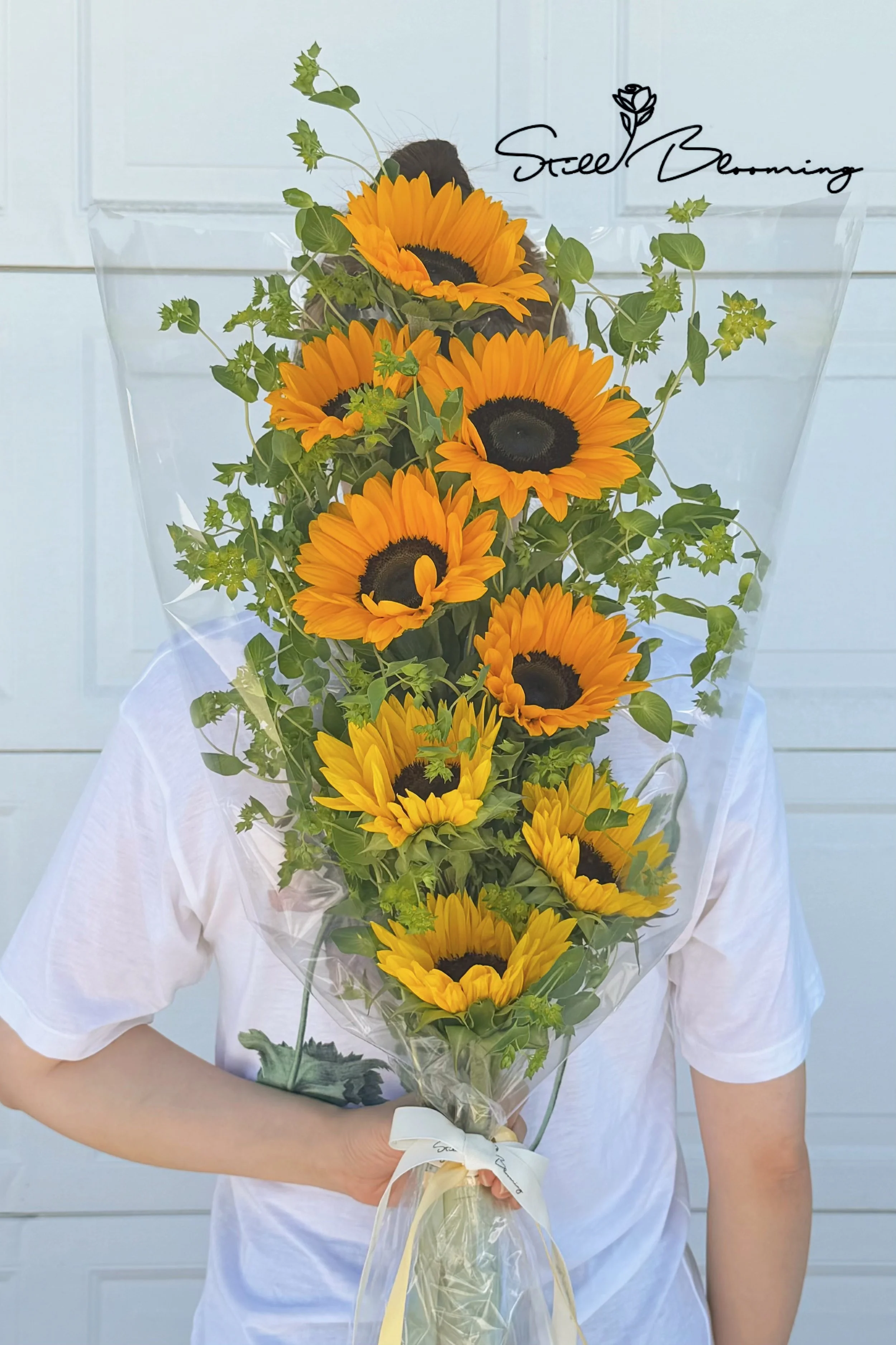 Sunshine