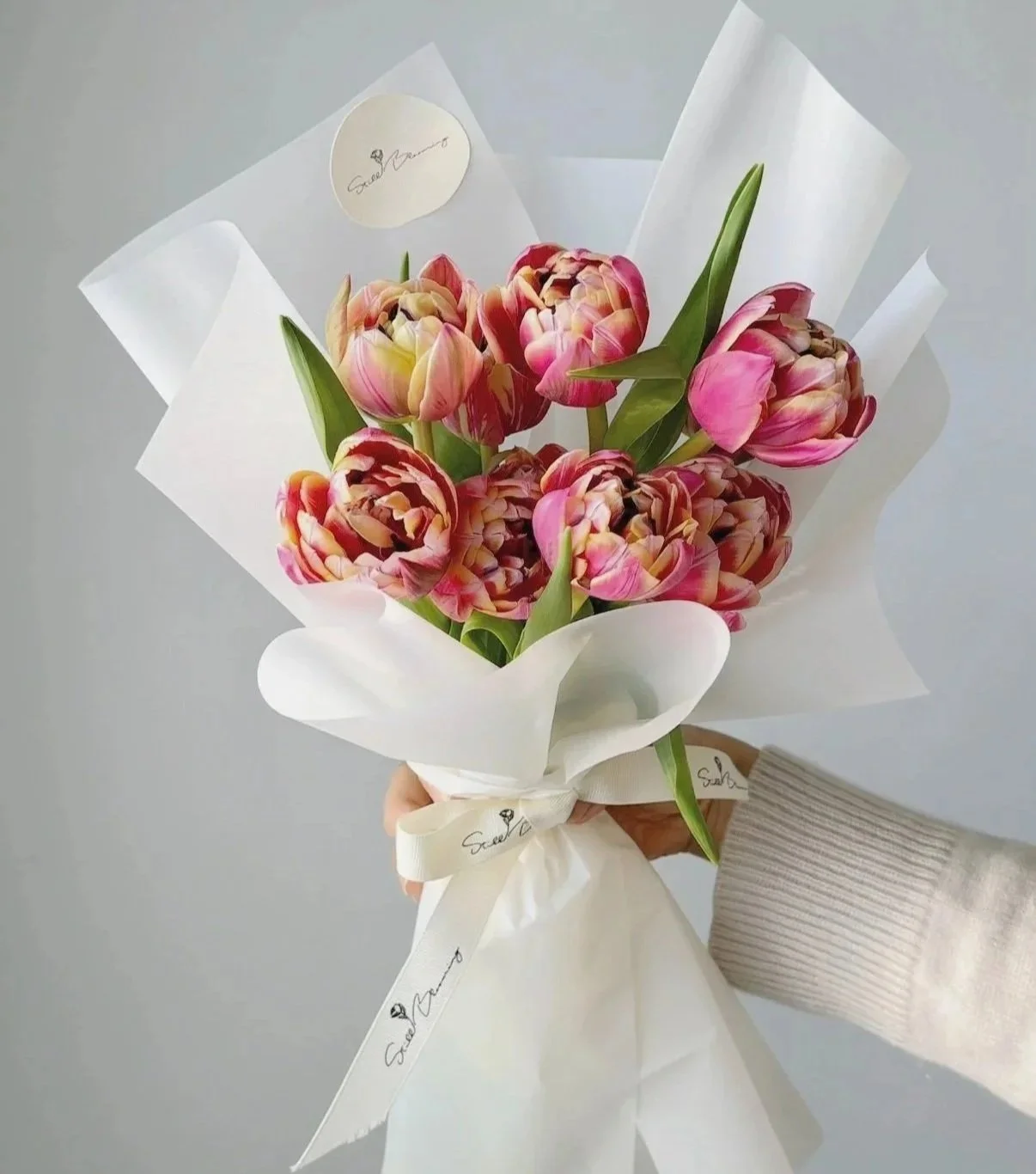 Tulip Song