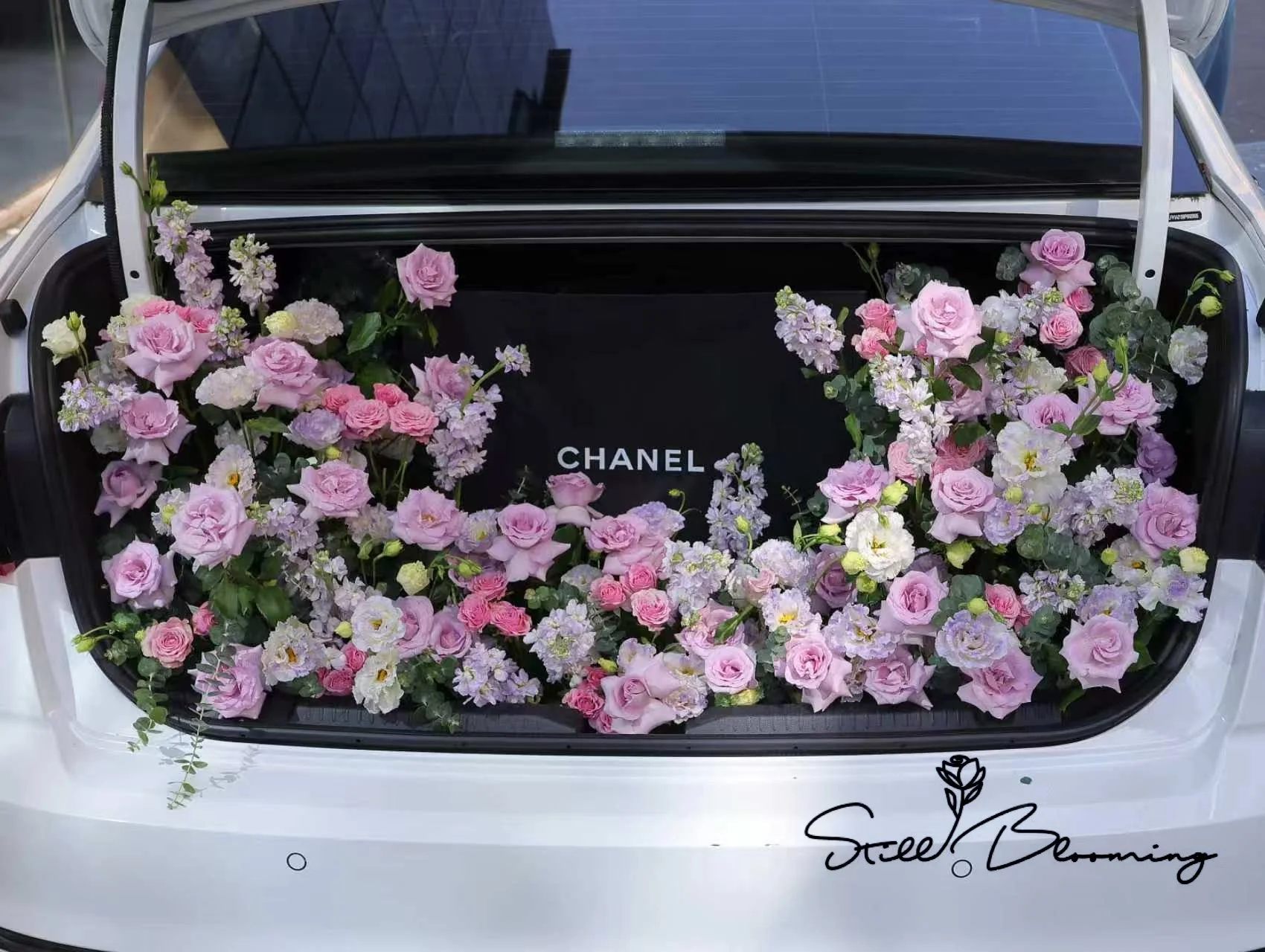 Car Trunk Surprise