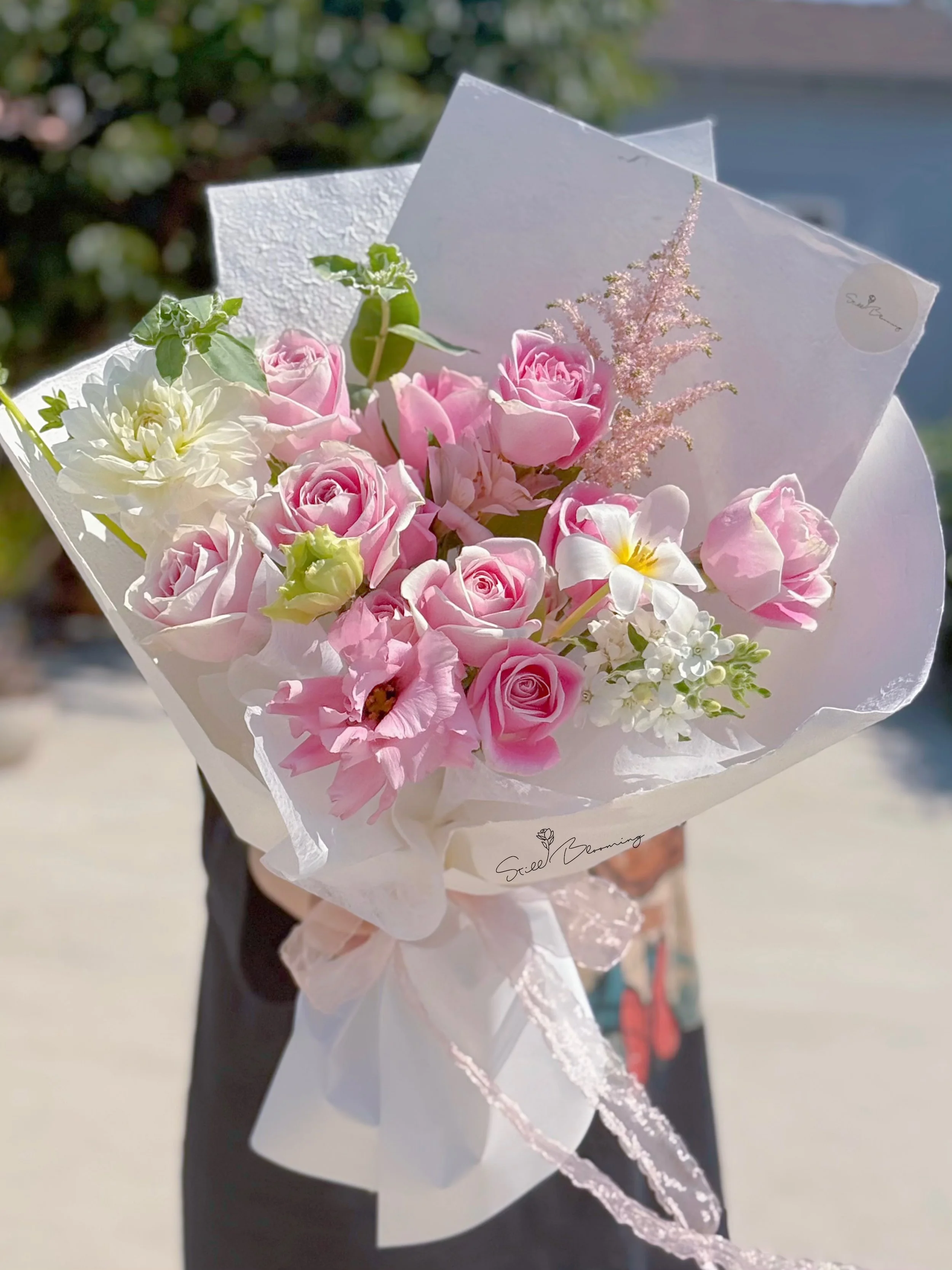 Classic_Medium.jpg (Copy)